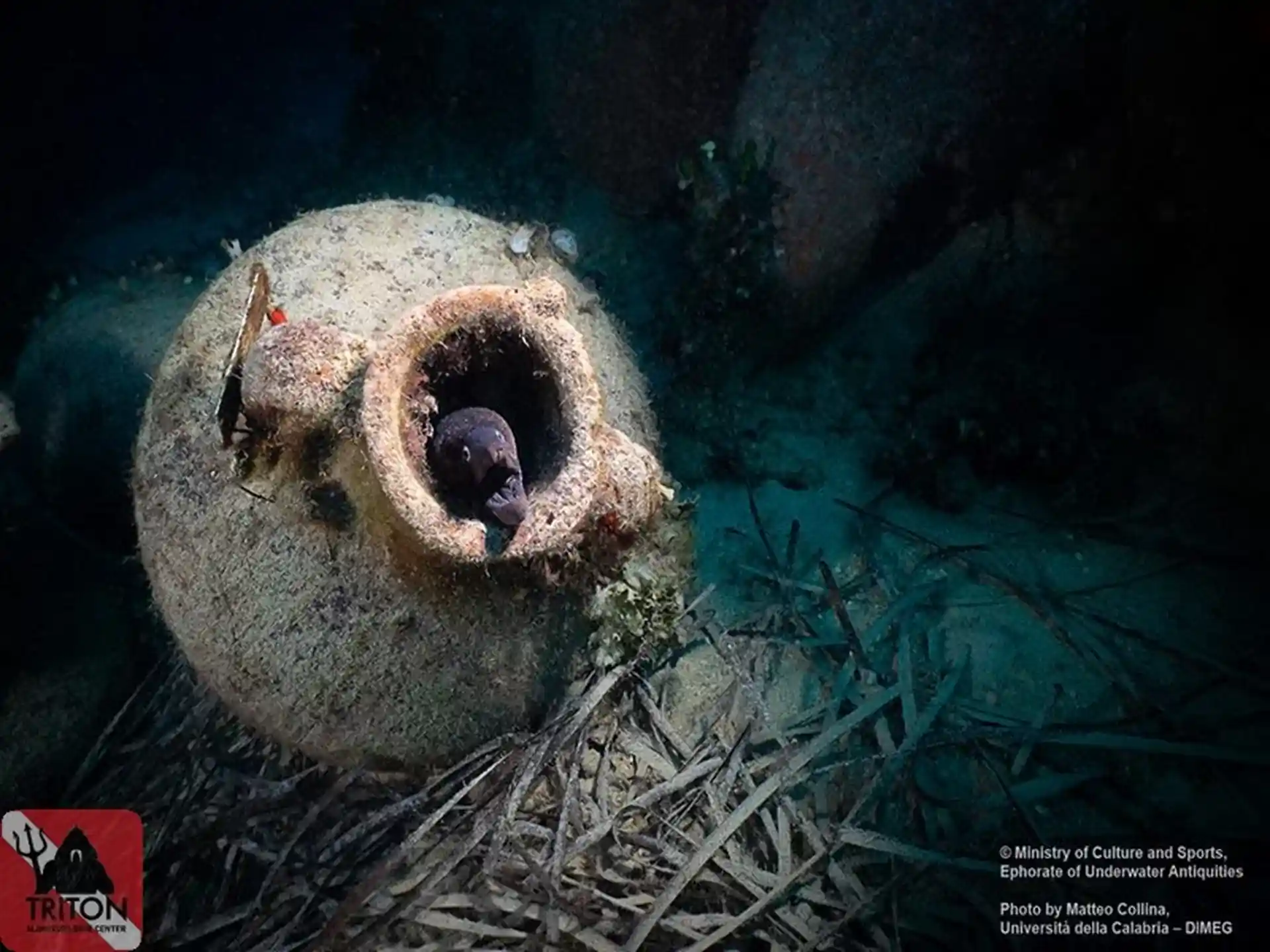Dive shop photo