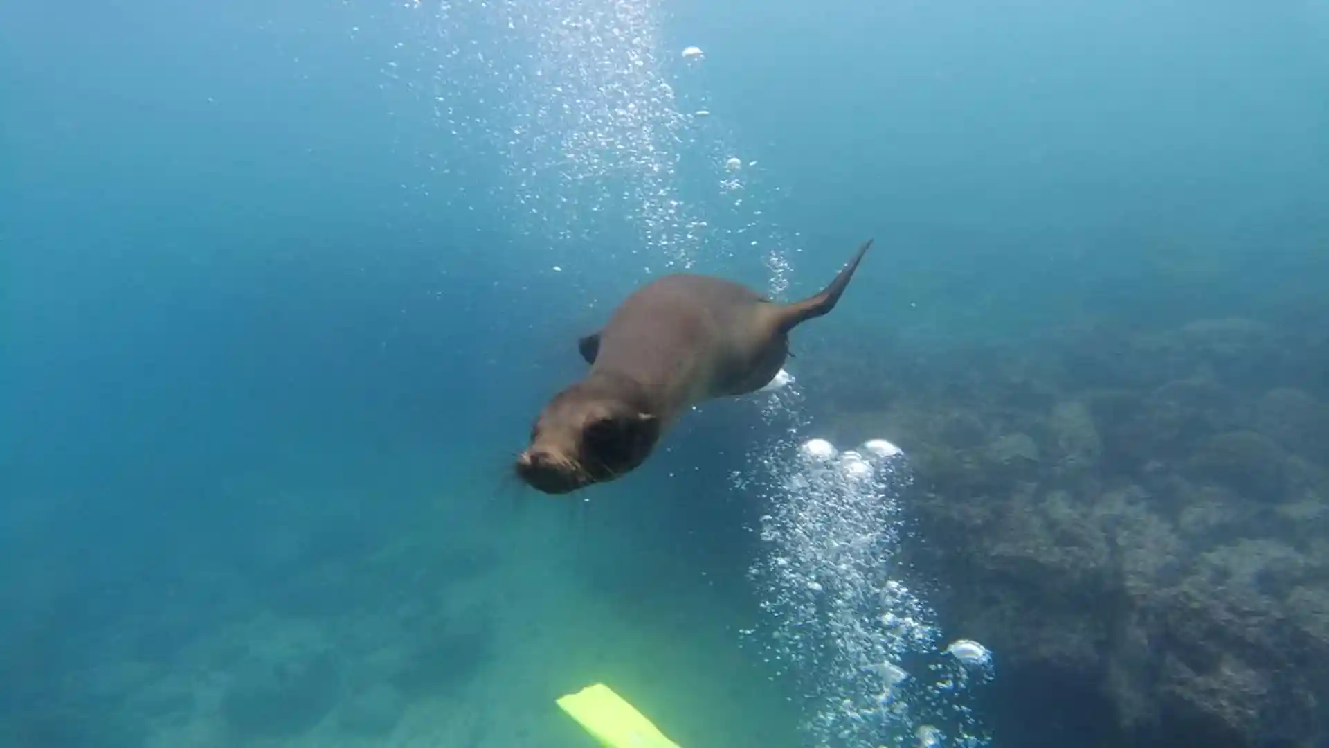 Dive site photo