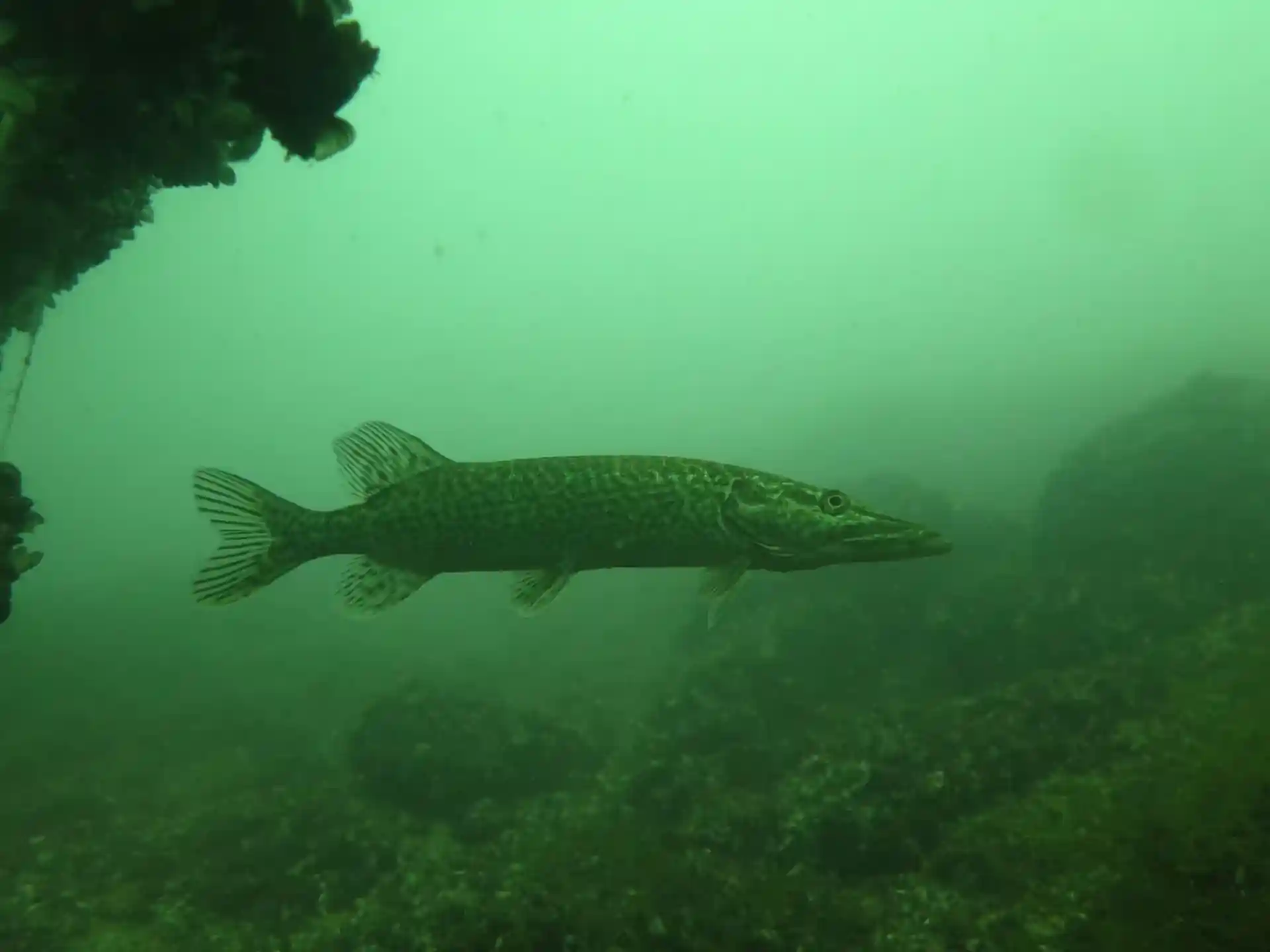 다이빙 포인트 사진