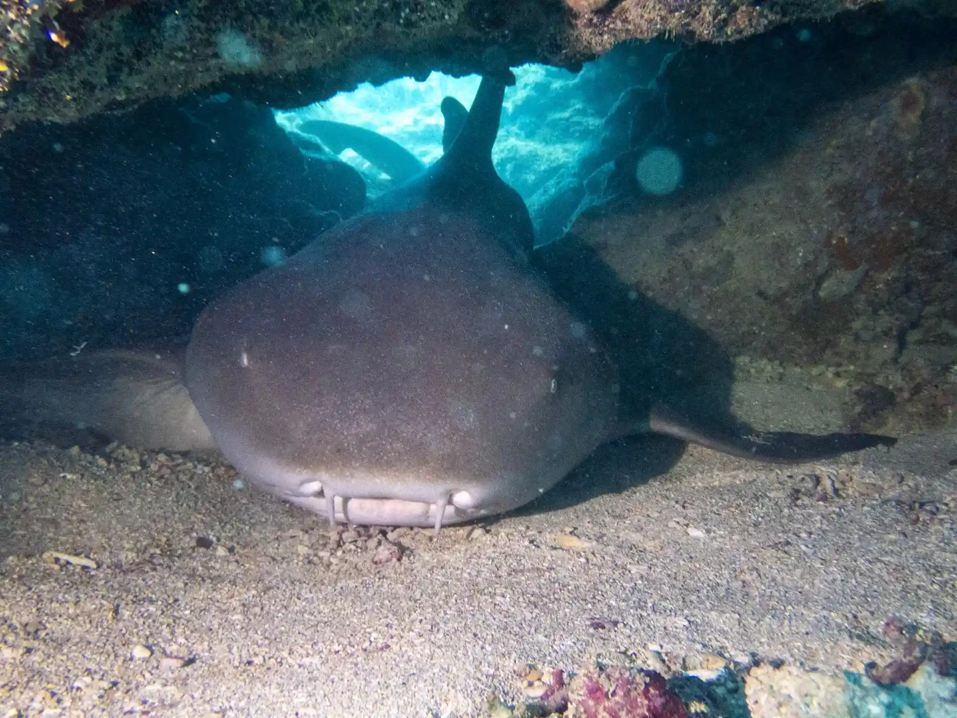 Dive site photo