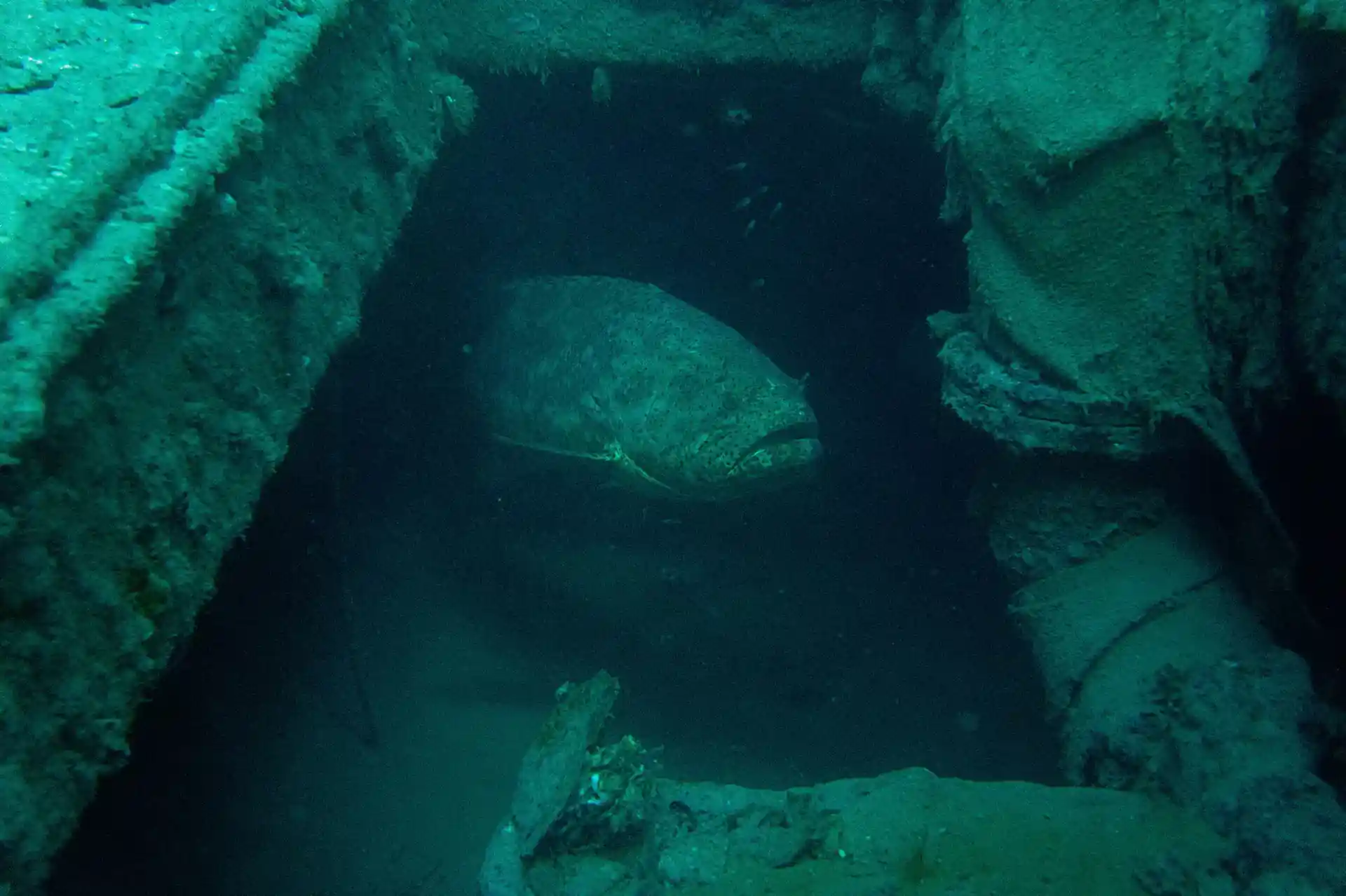 Dive site photo