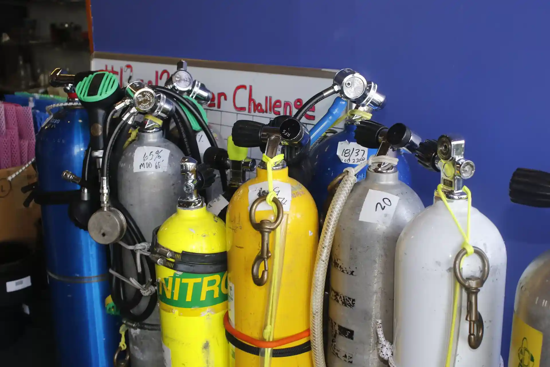 Dive shop photo