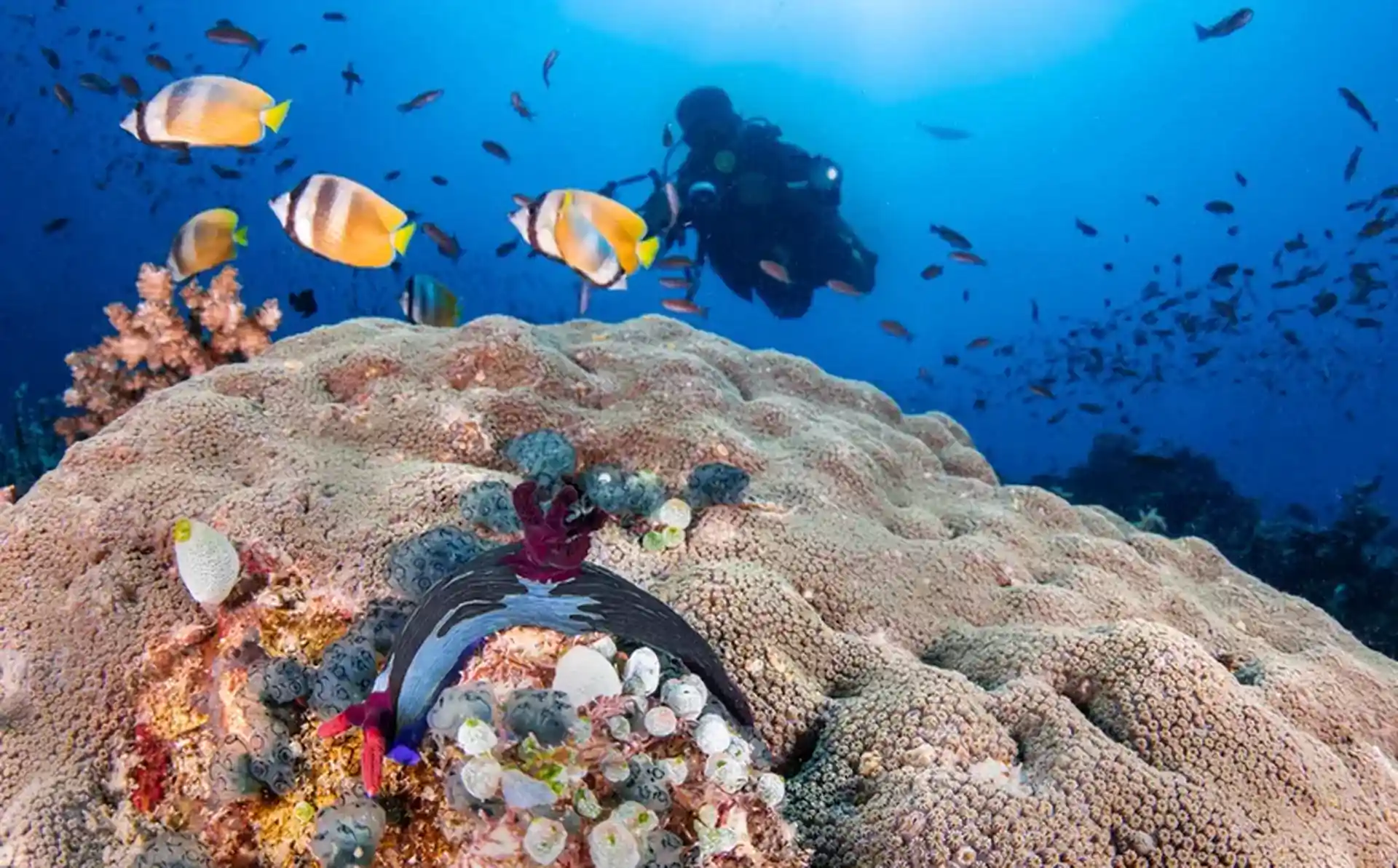 Foto des Tauchplatzes