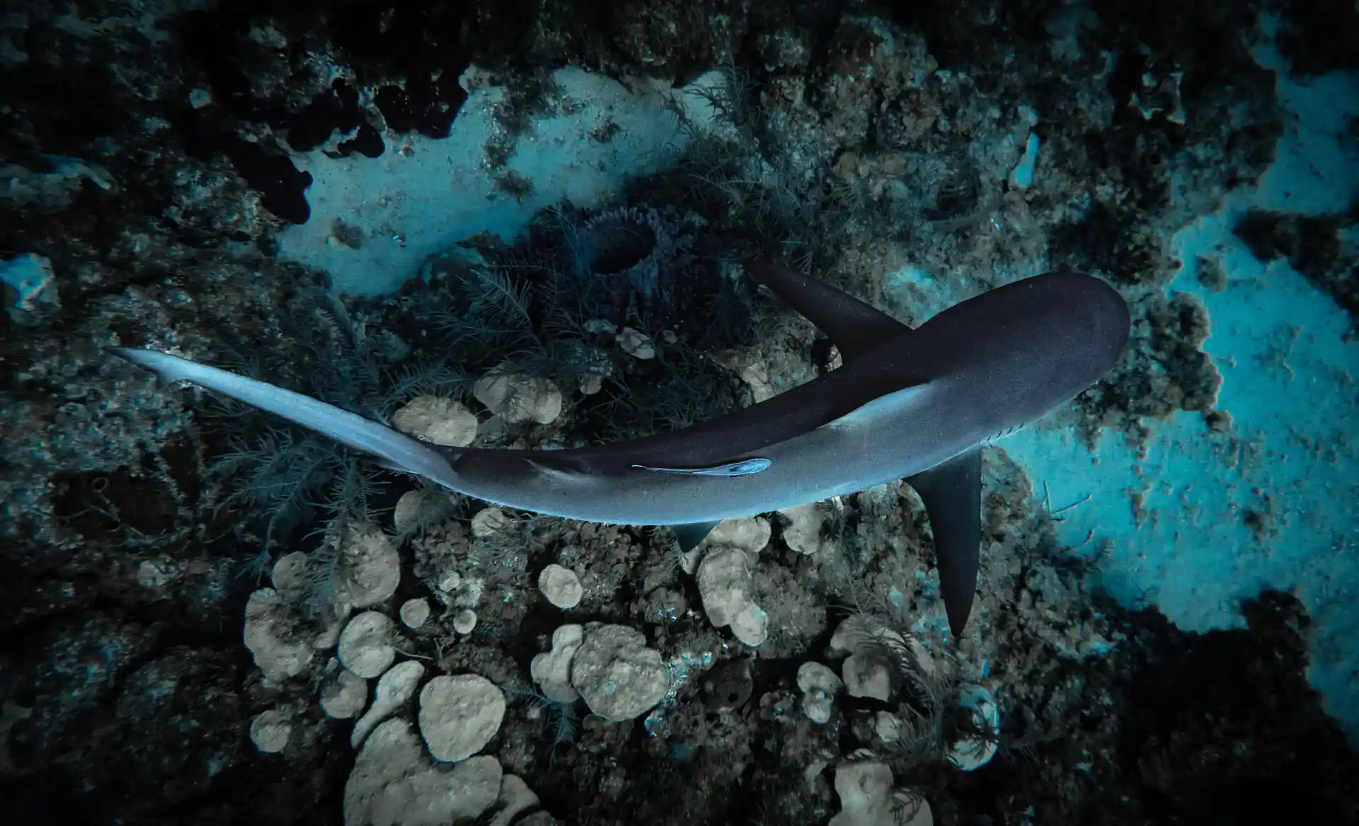 Foto de la actividad