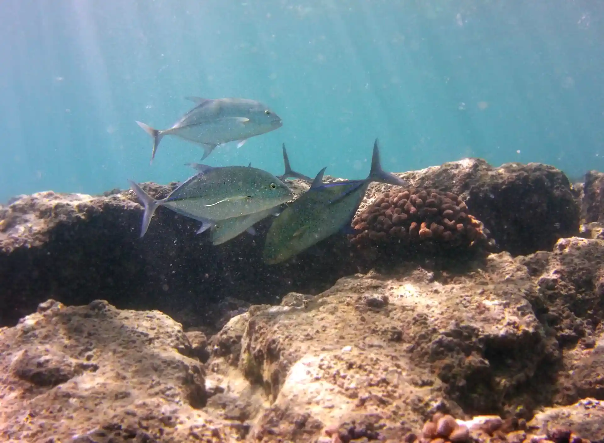 Foto des Tauchplatzes