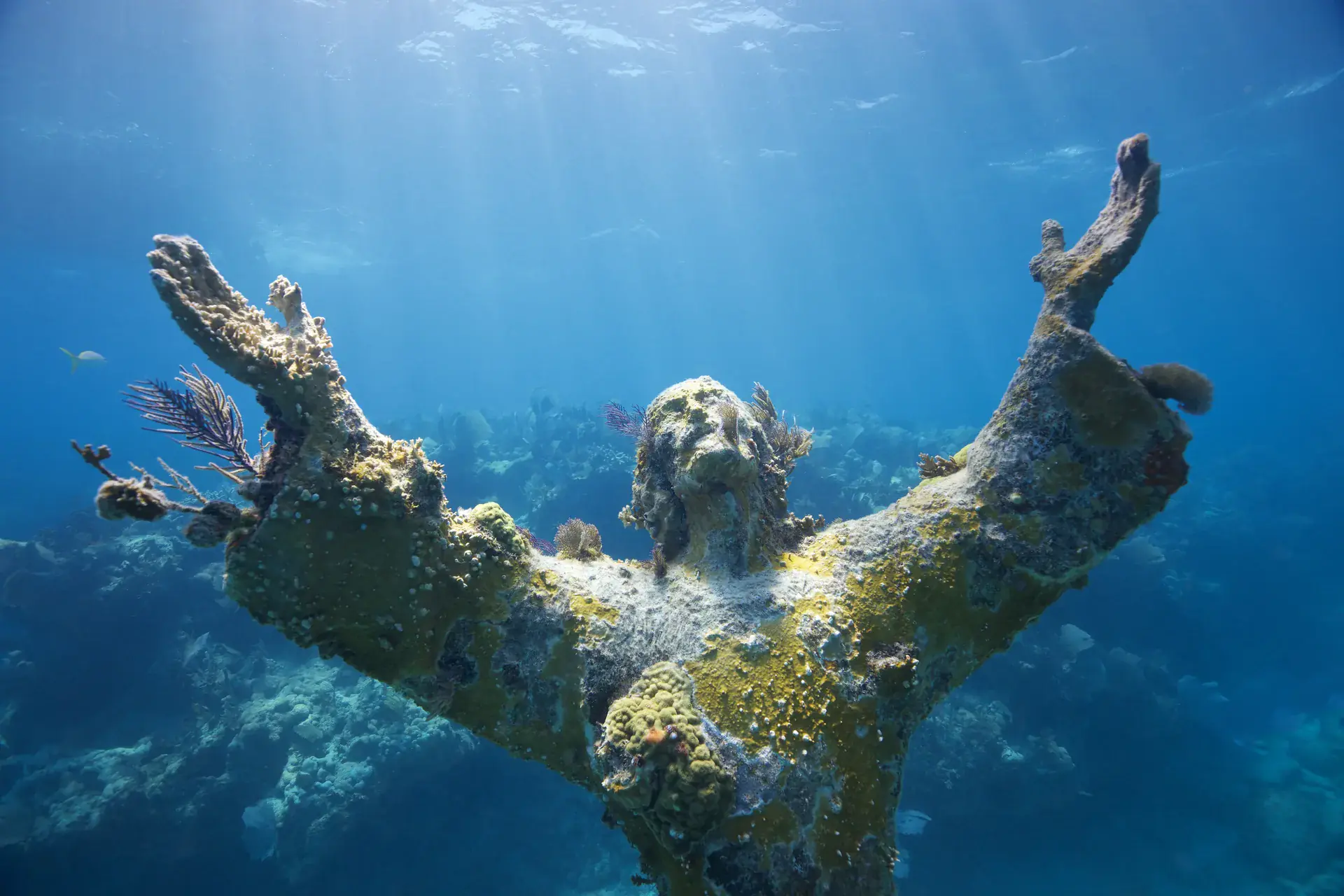 Foto de la actividad