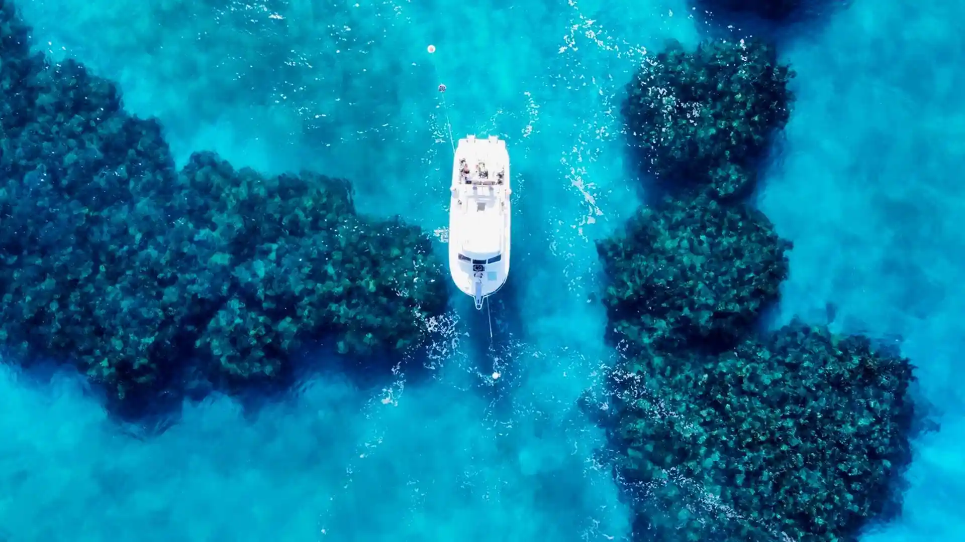 Dive site photo