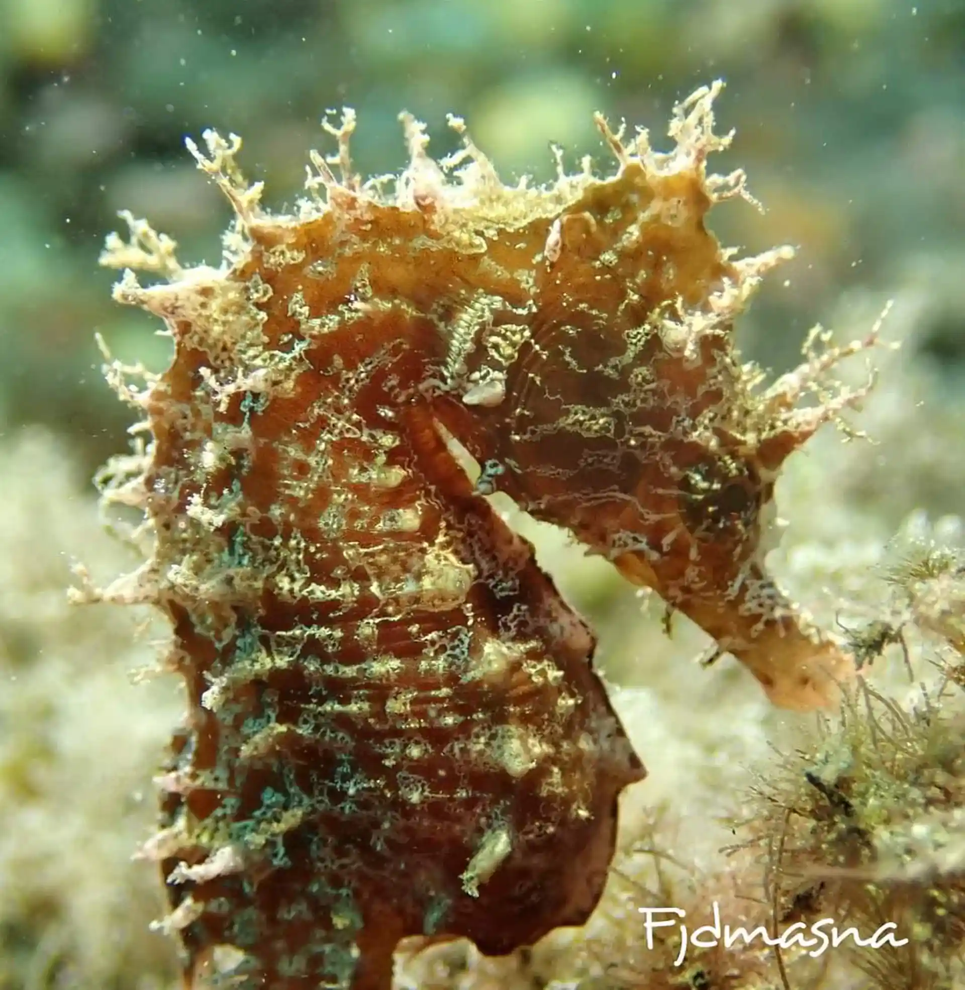 Dive shop photo