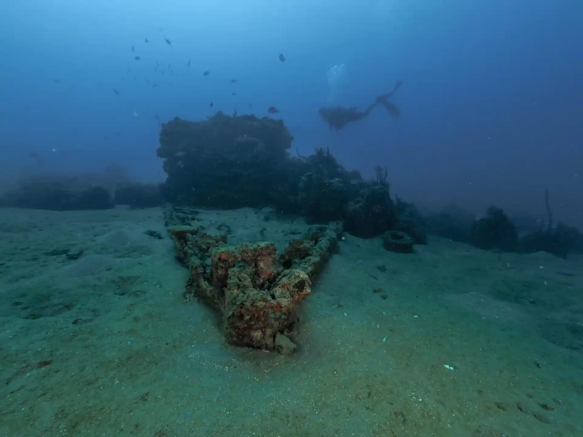 Photo du site de plongée