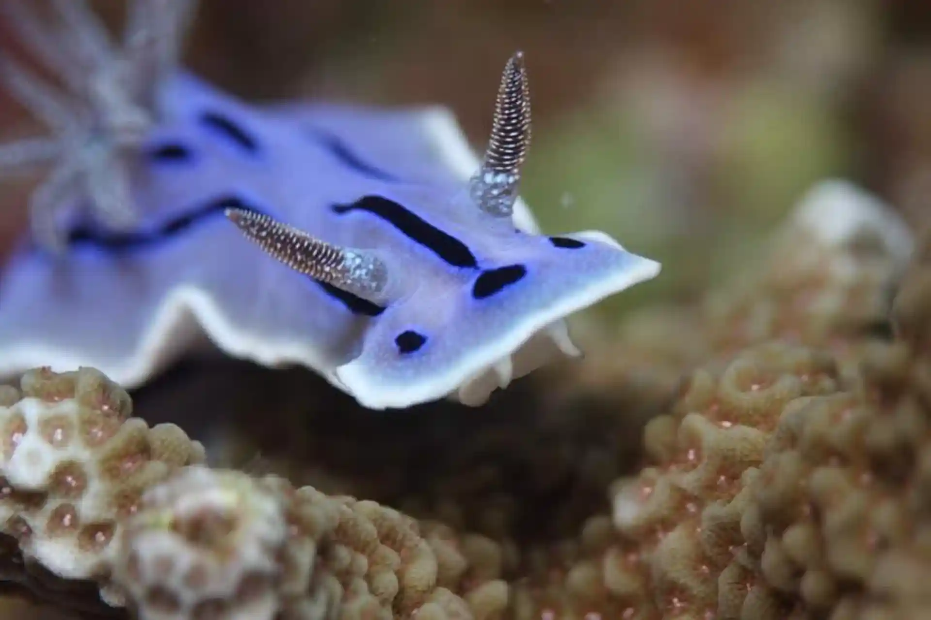 Foto des Tauchplatzes