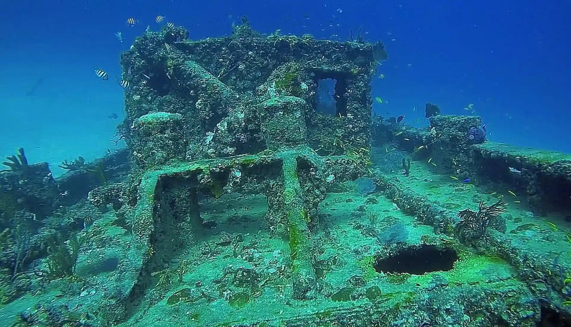 ダイビングサイトの写真