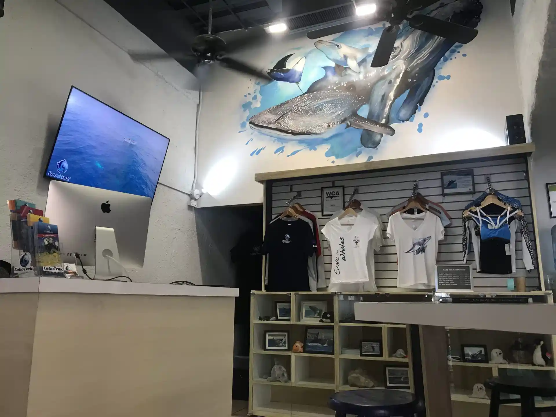 Dive shop photo