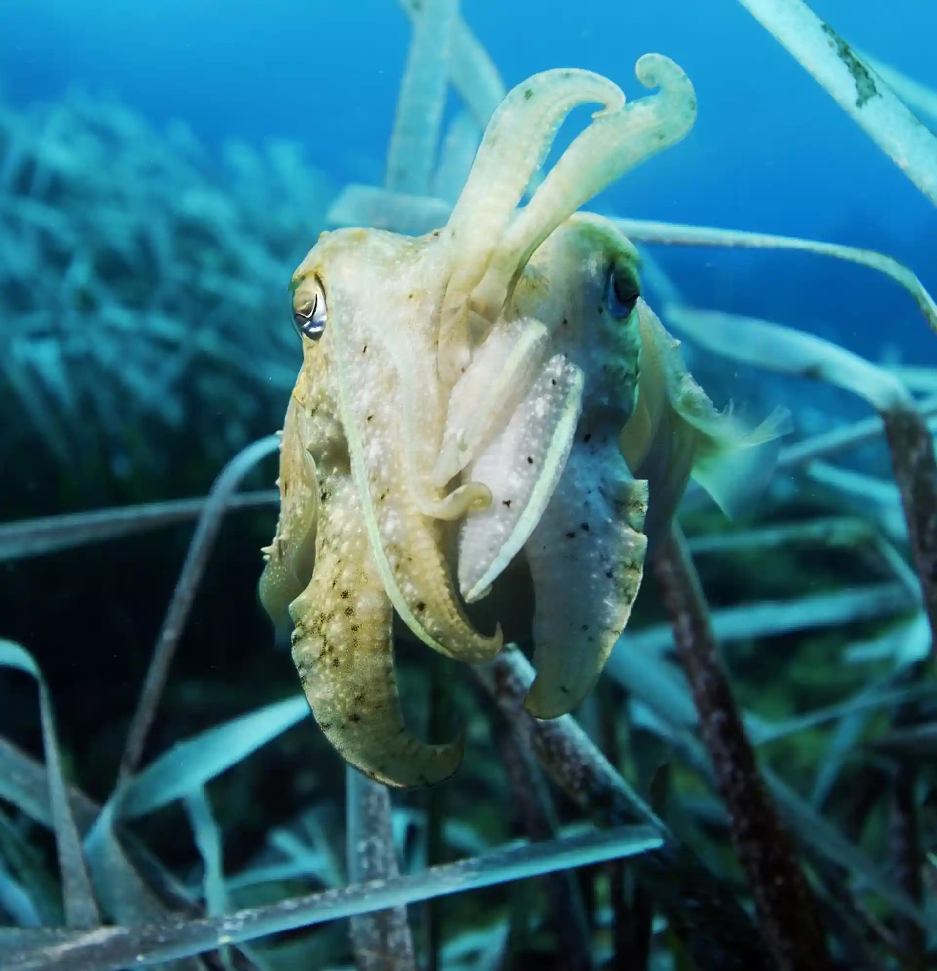 Dive site photo