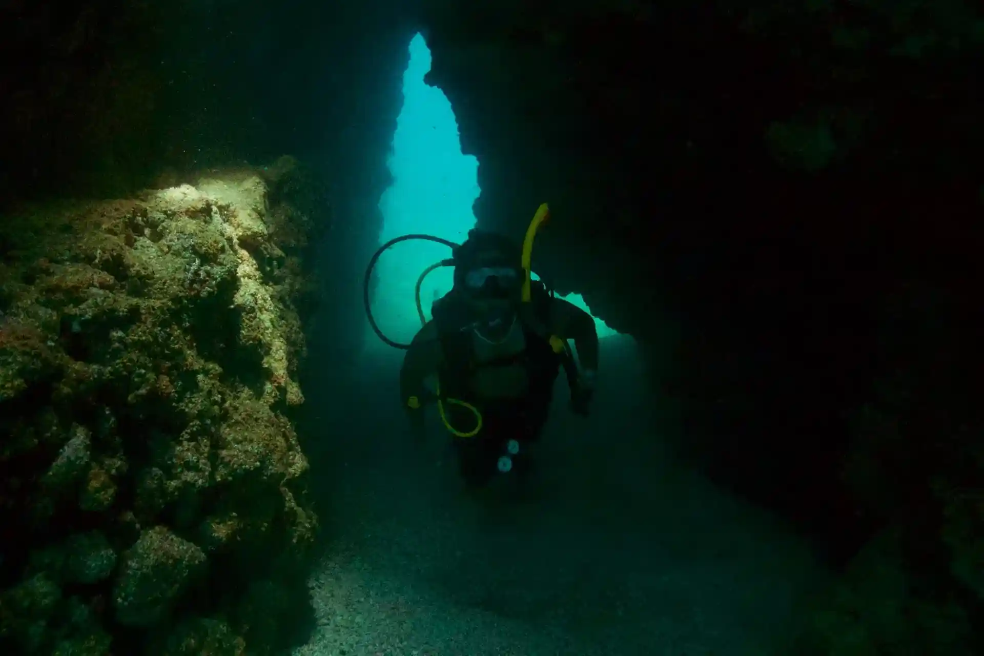 Dive shop photo