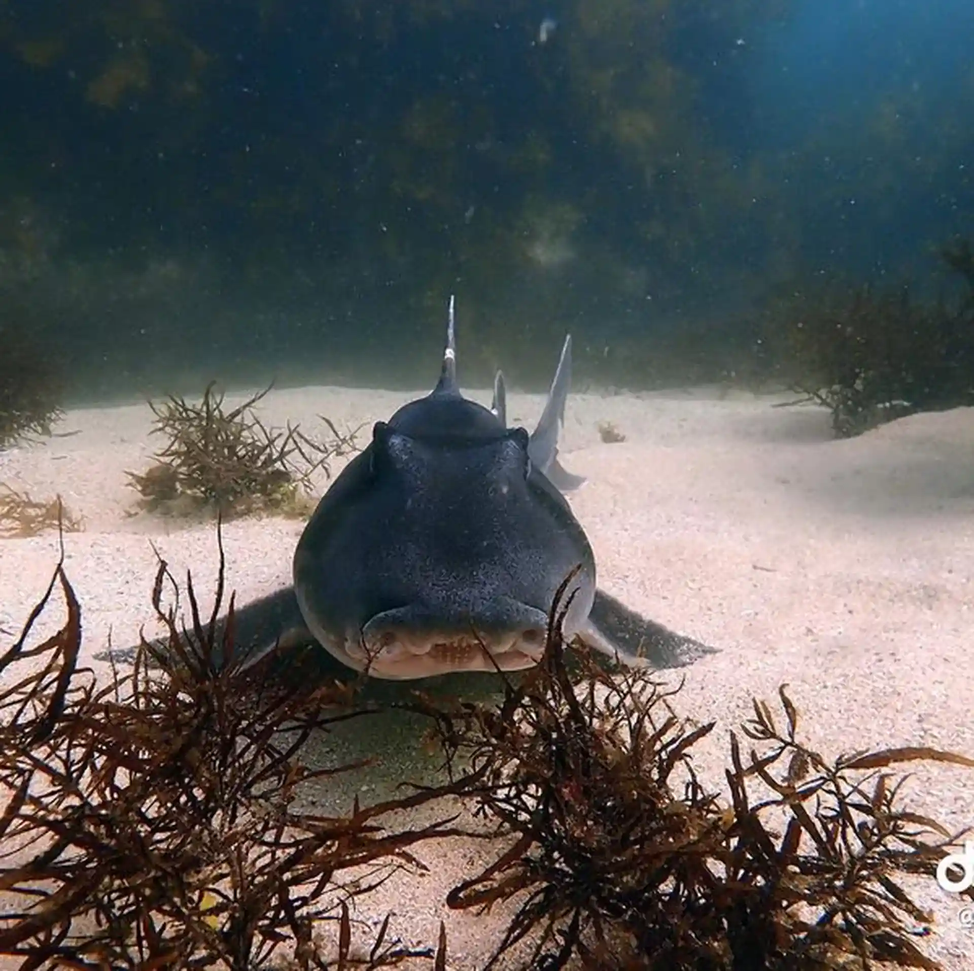Dive site photo