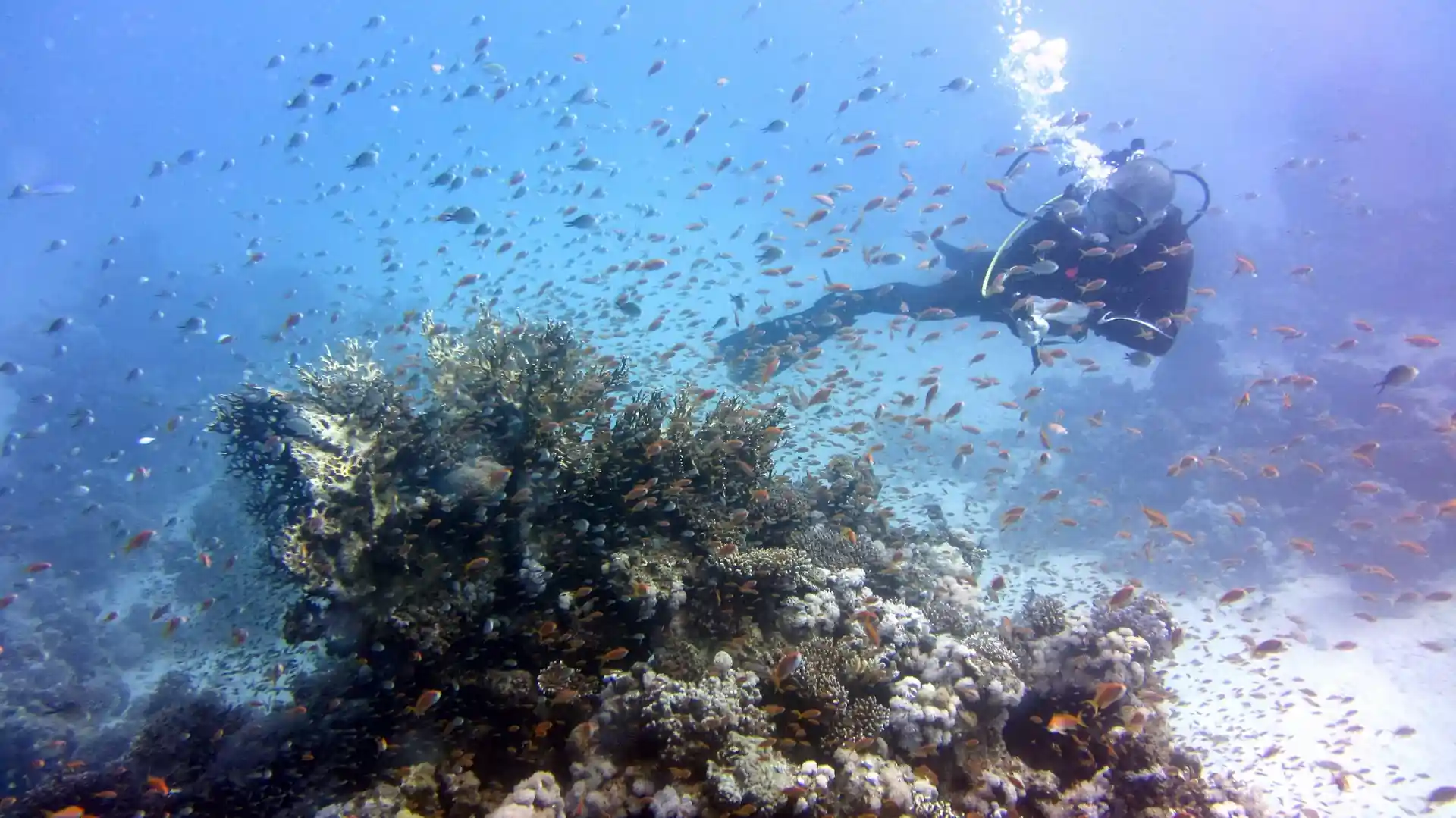Foto del sitio de buceo