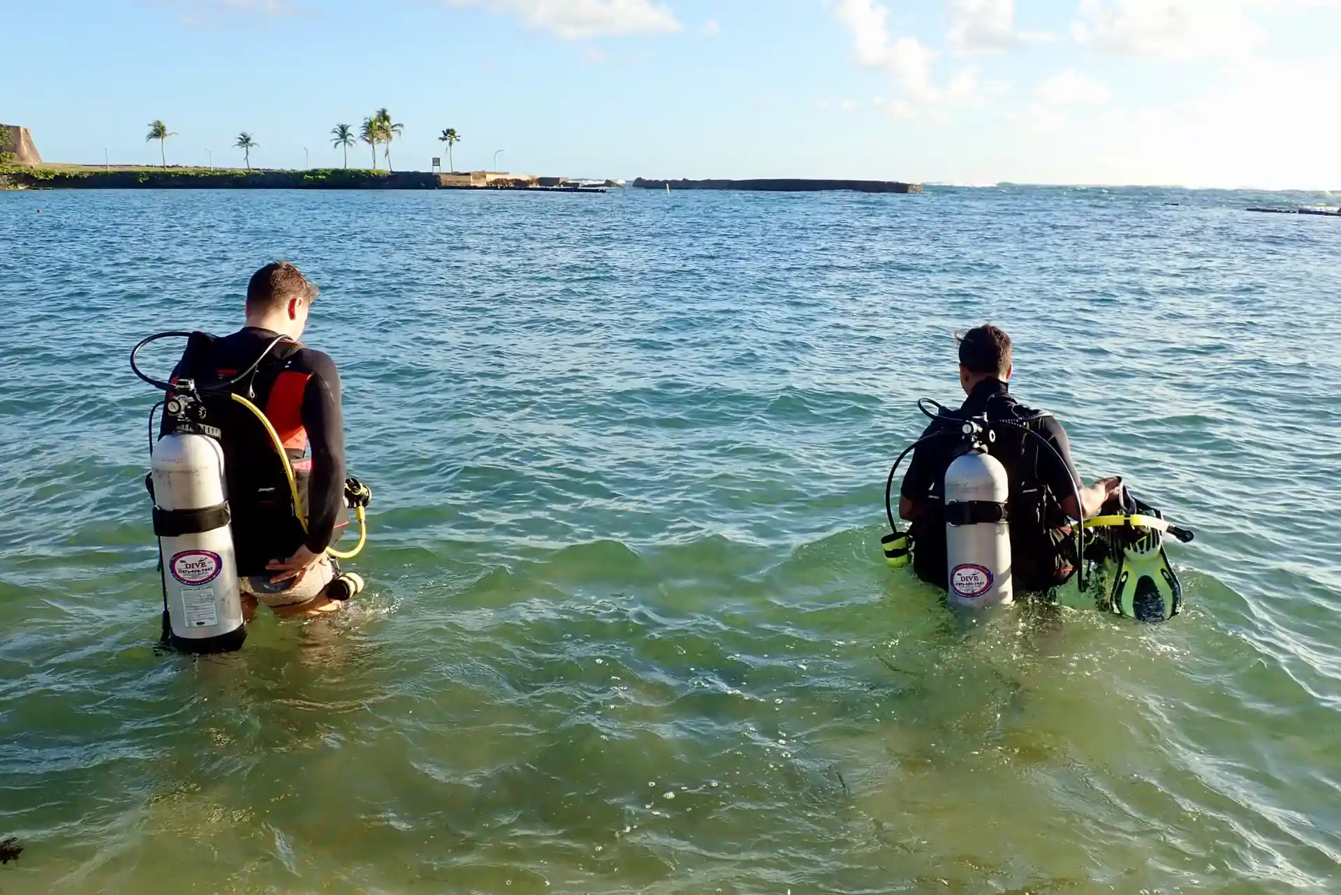 Foto de la actividad