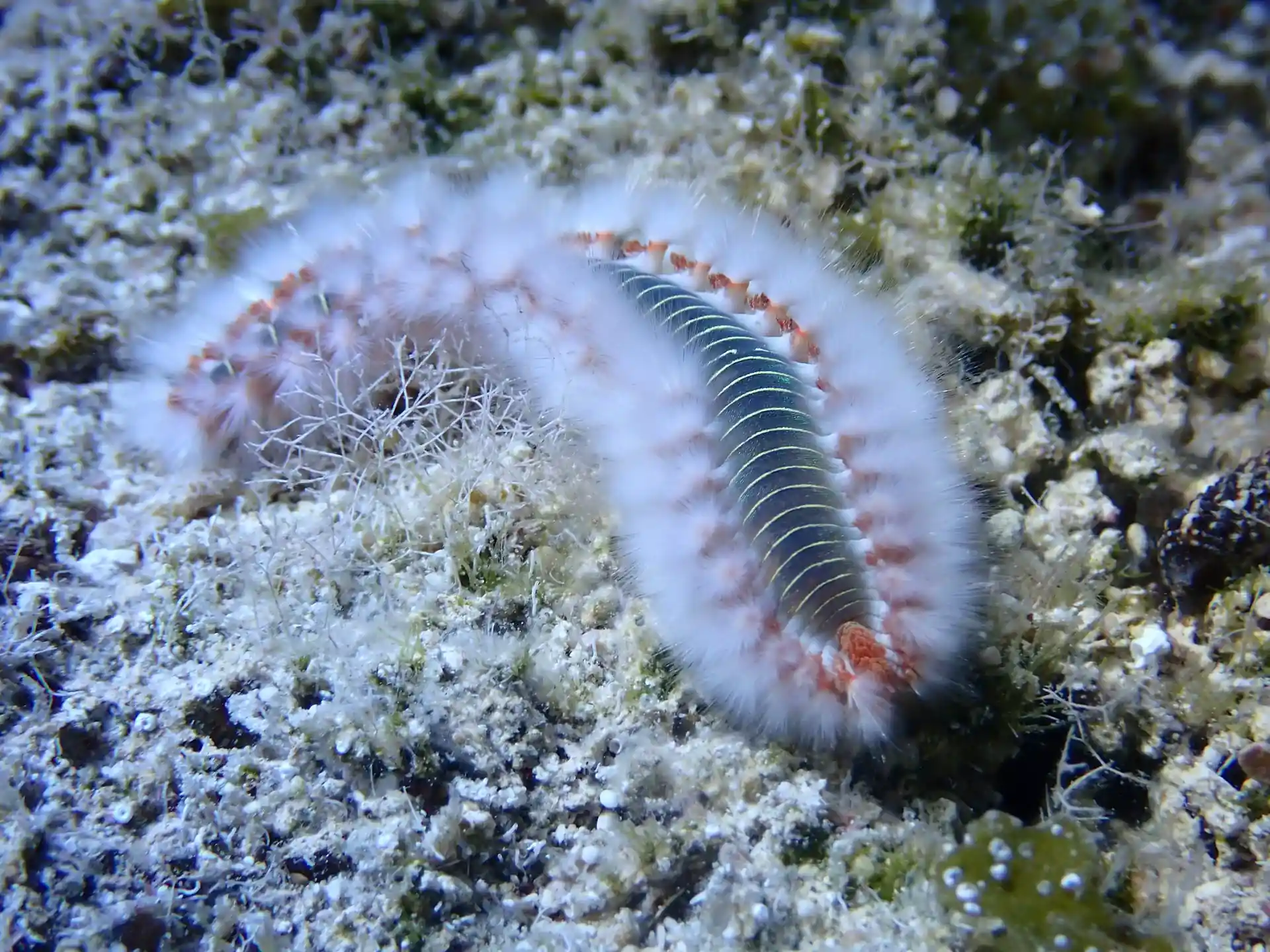 Dive site photo