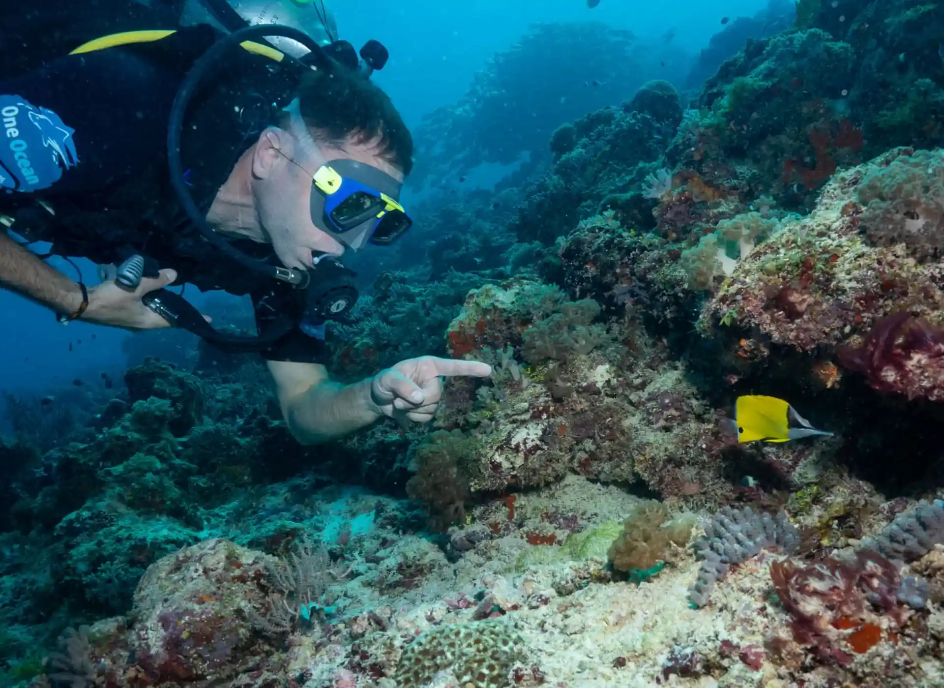 Photo de l'activité