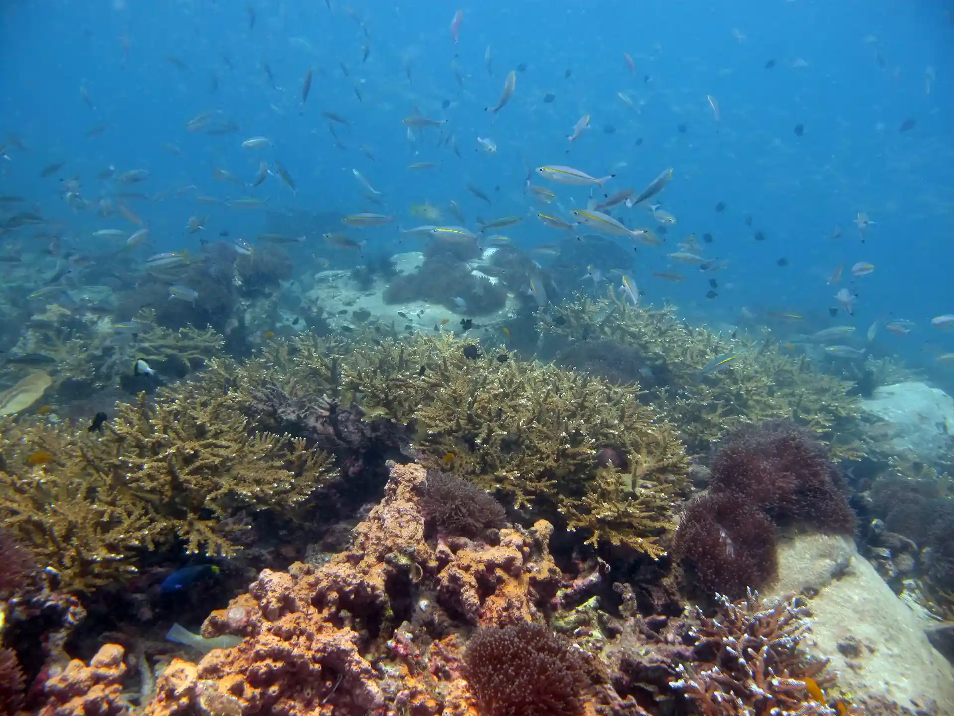 다이빙 포인트 사진