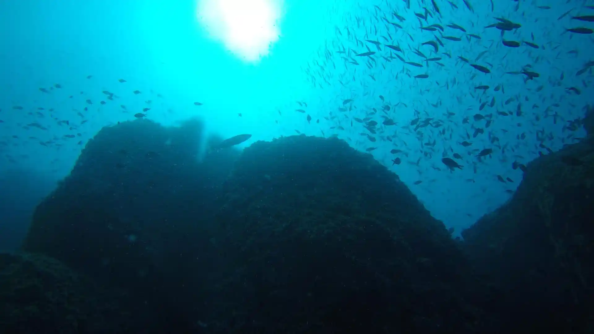 Dive site photo