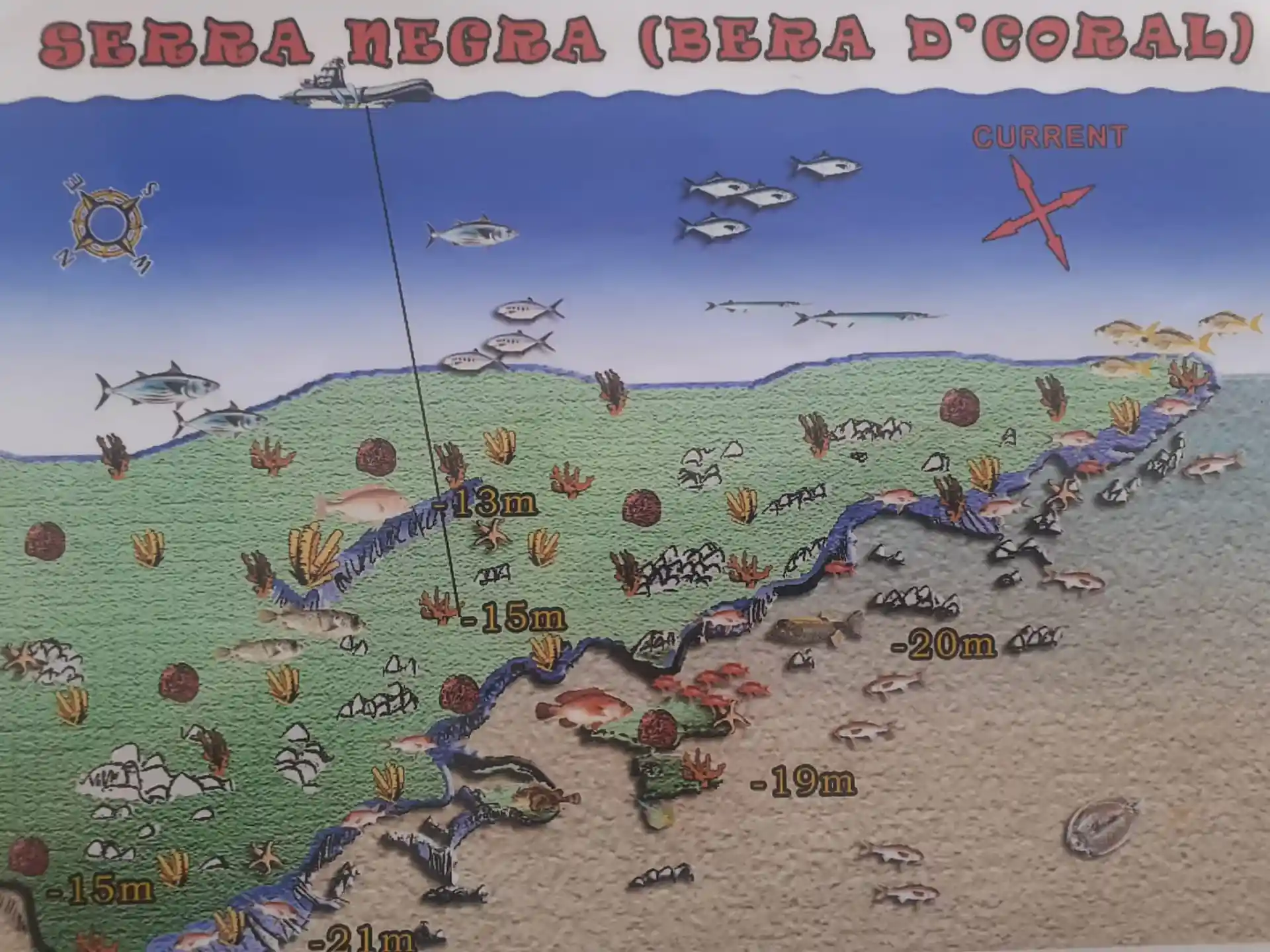 다이빙 포인트 사진