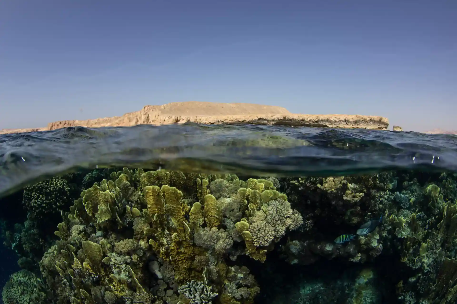 Dive site photo