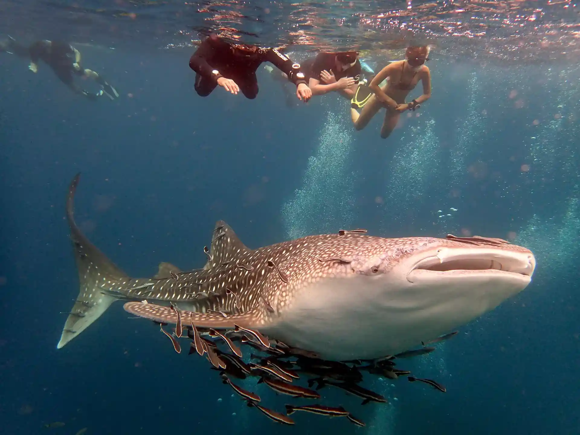 Foto del sitio de buceo