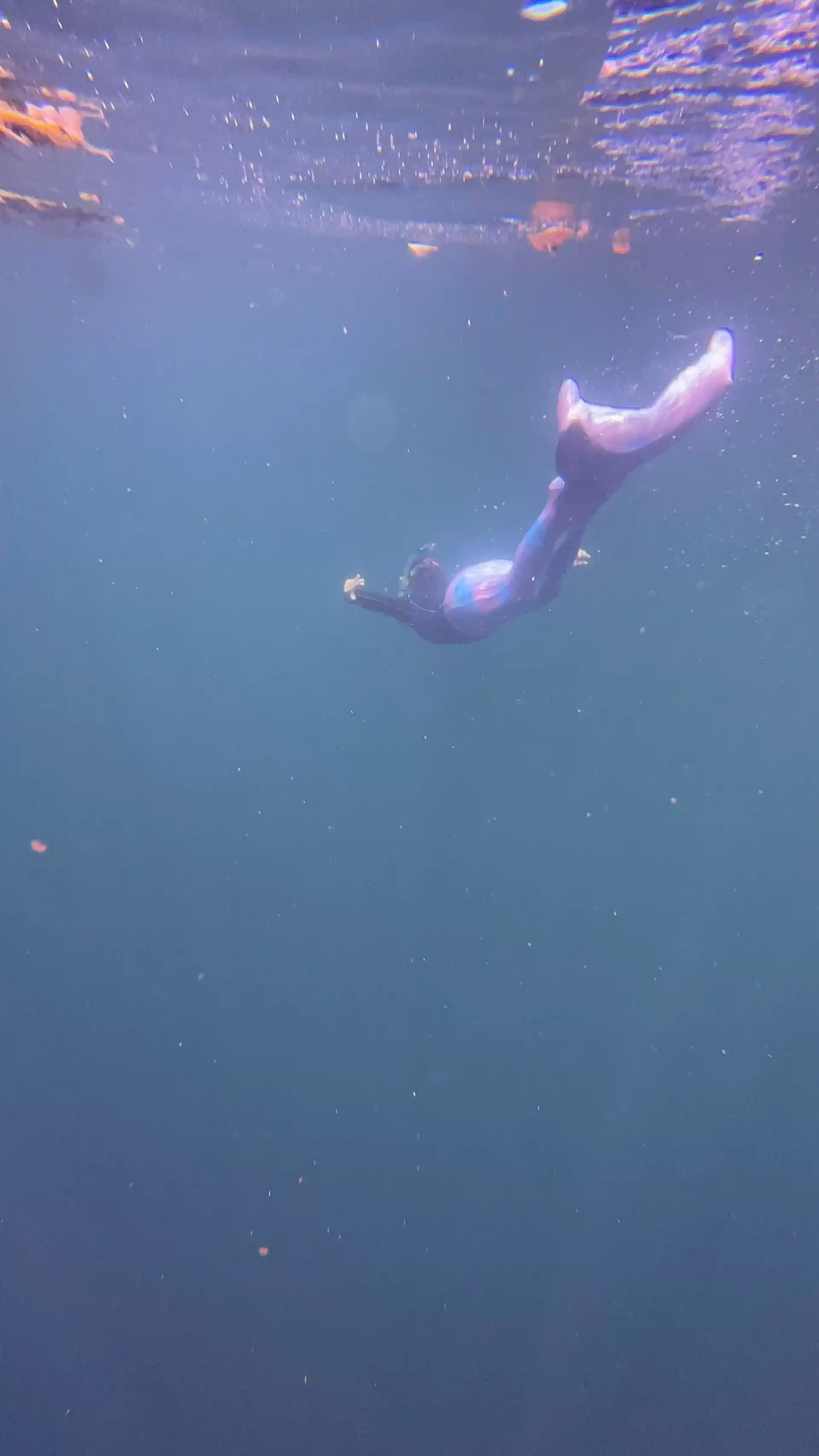 Mermaid in Gray Quarry, Tennessee
