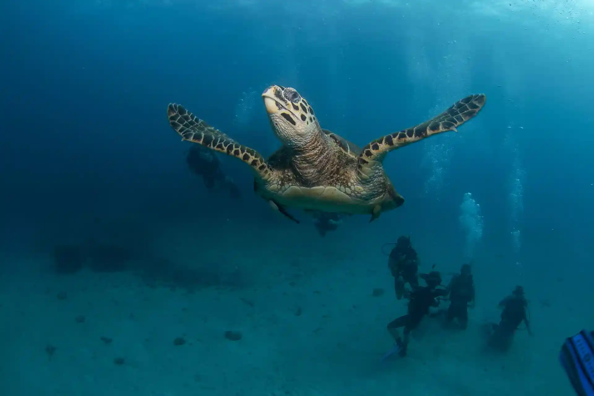 다이빙 포인트 사진