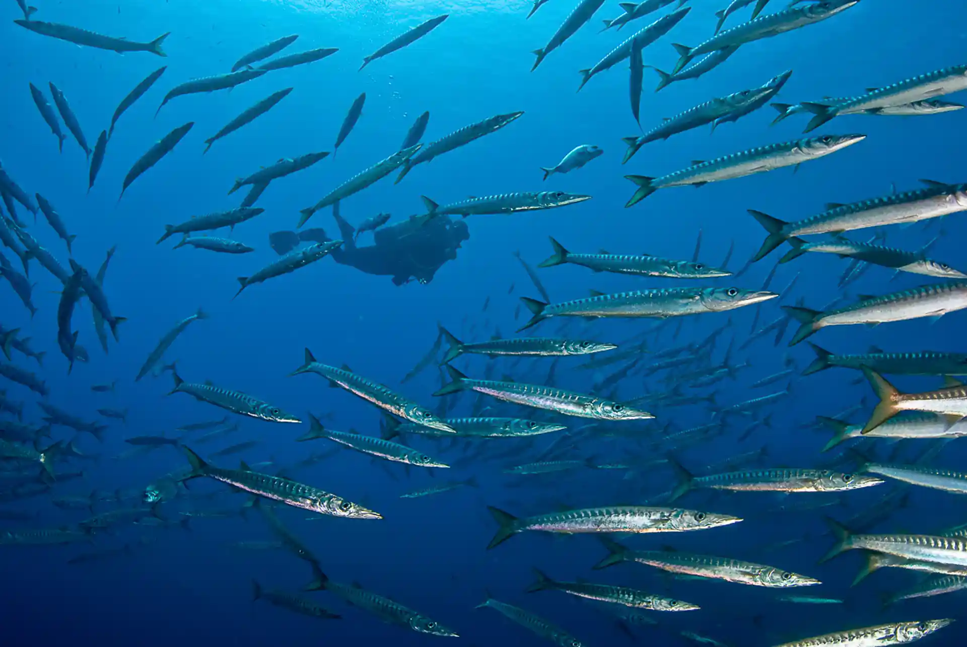 Photo du site de plongée