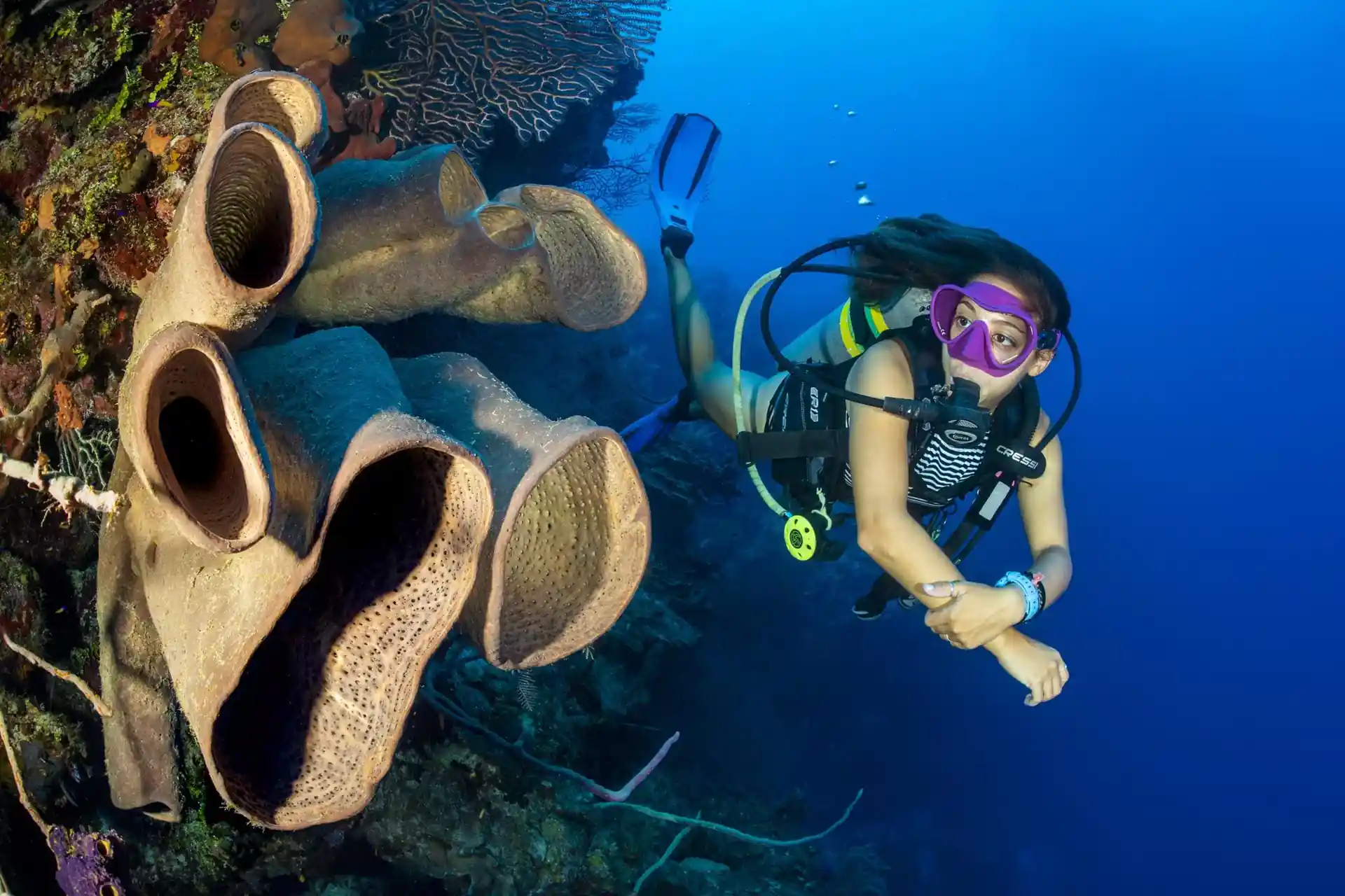 Dive site photo