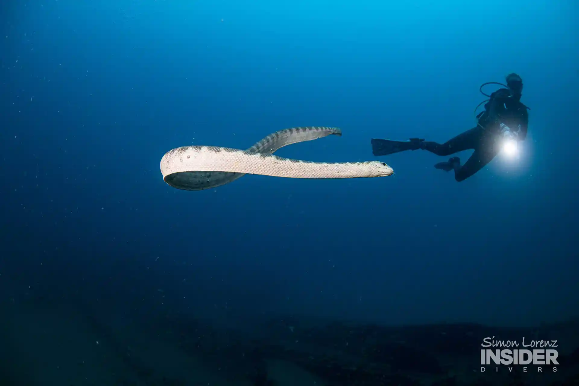 Dive shop photo
