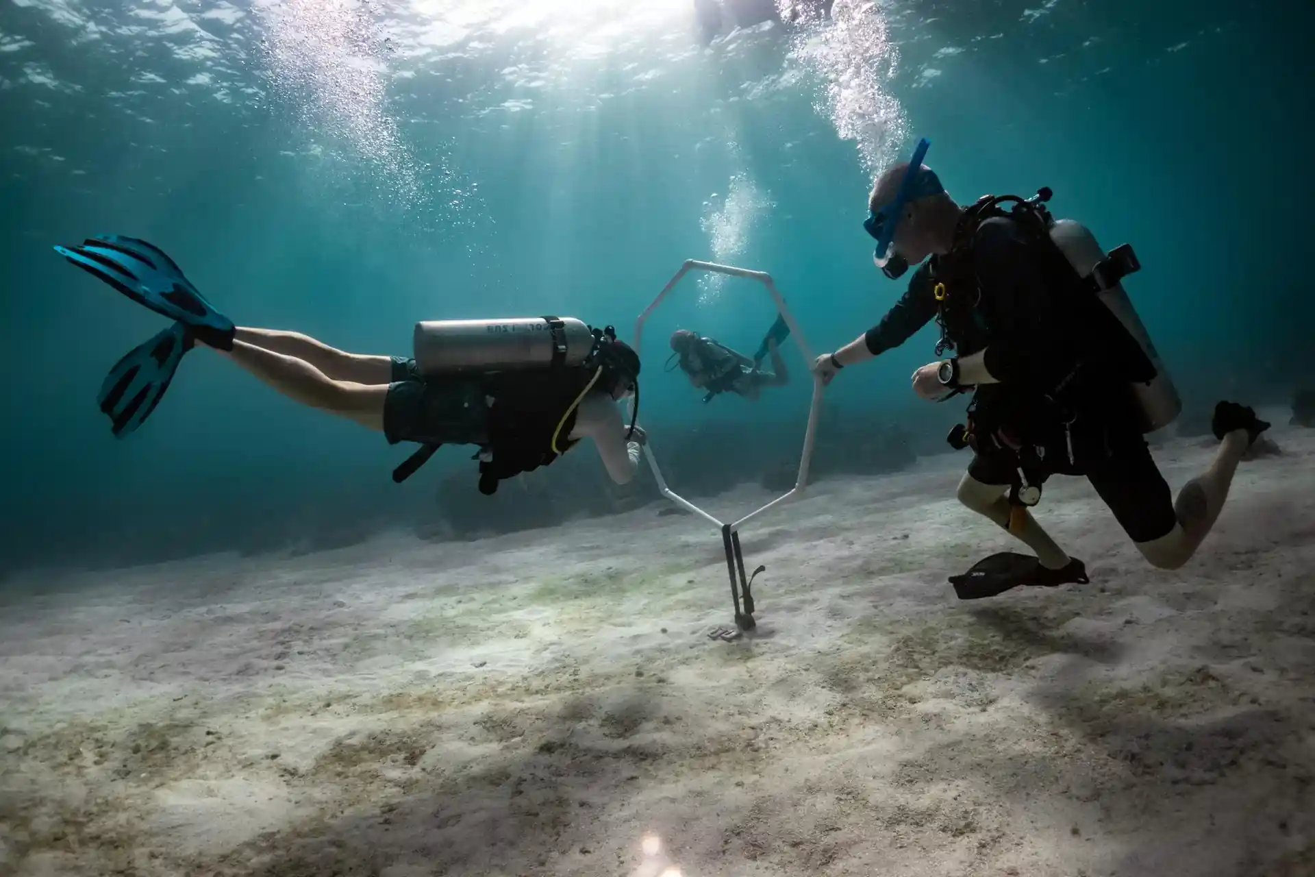 Dive shop photo