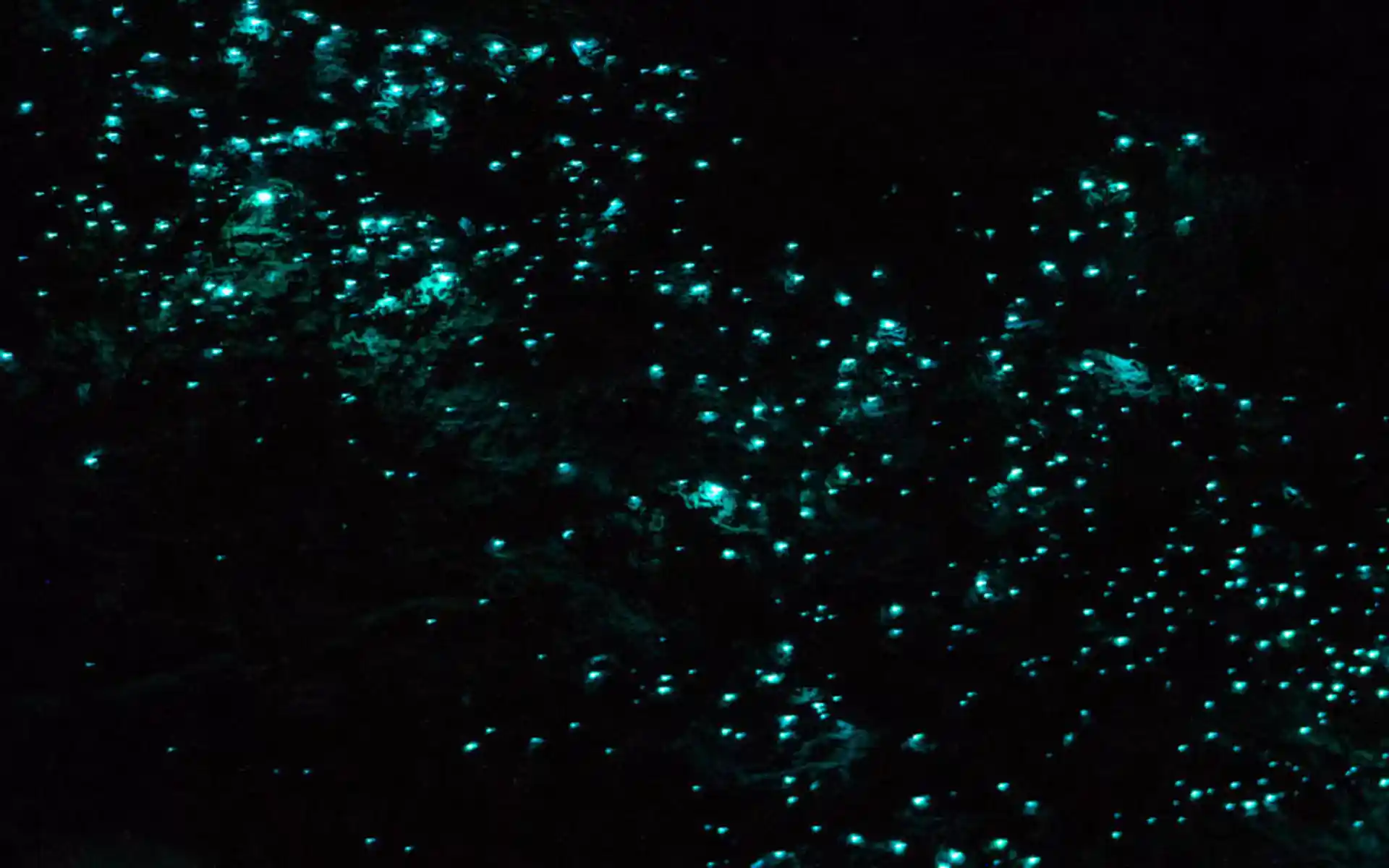 Foto de la actividad