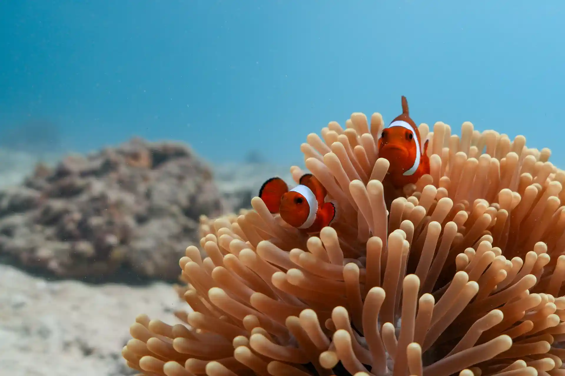 Foto de la actividad