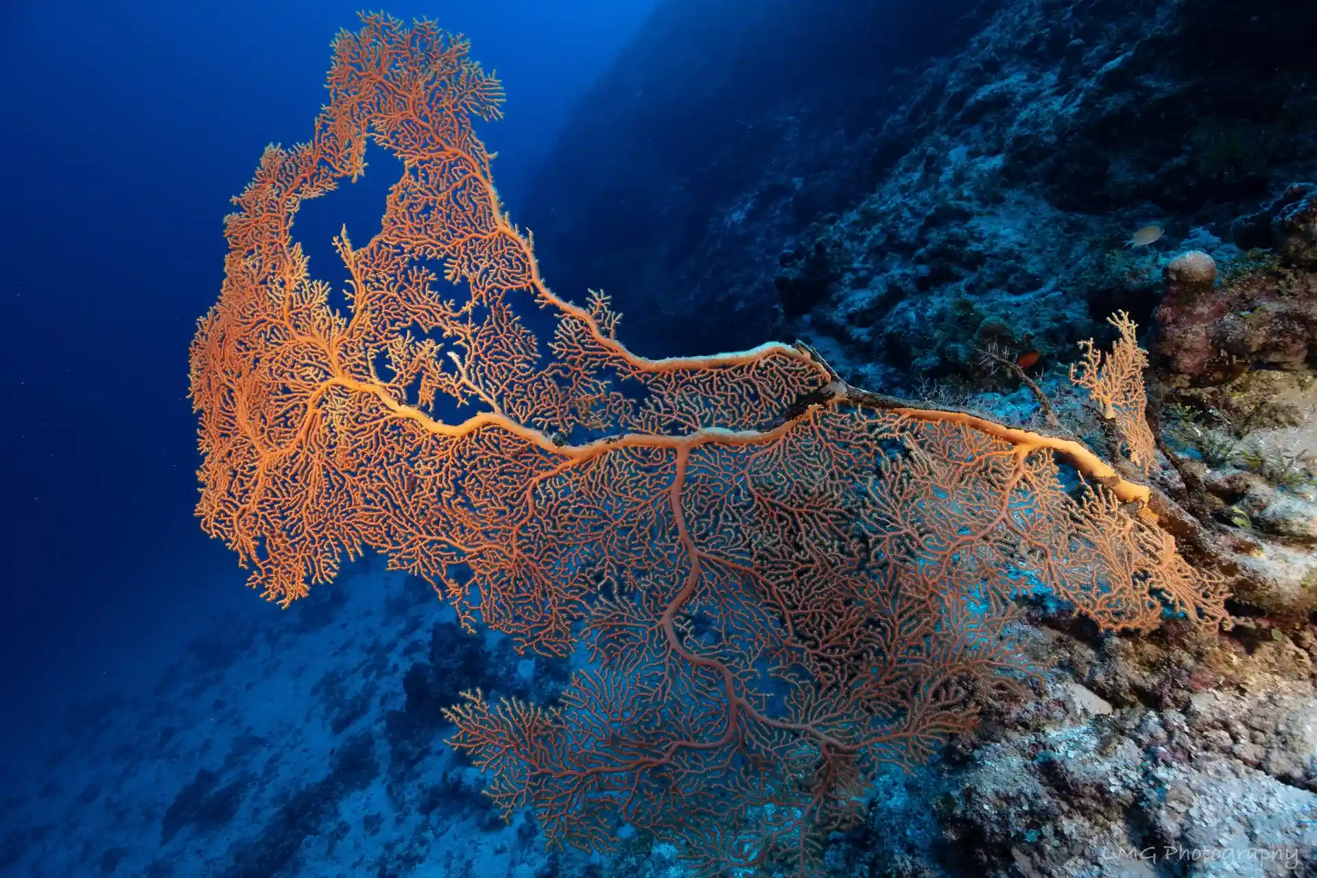 Photo du site de plongée