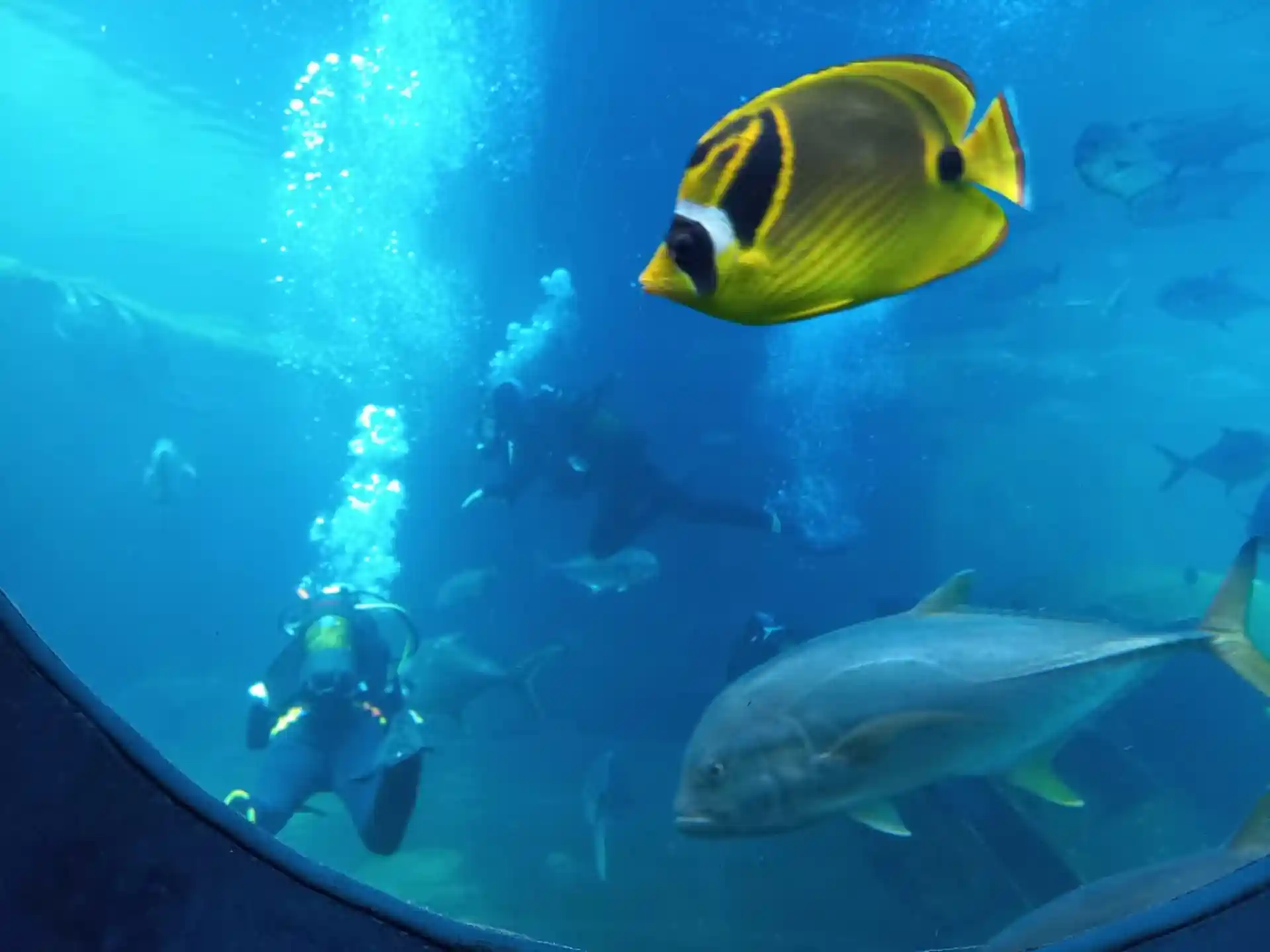 Dive shop photo