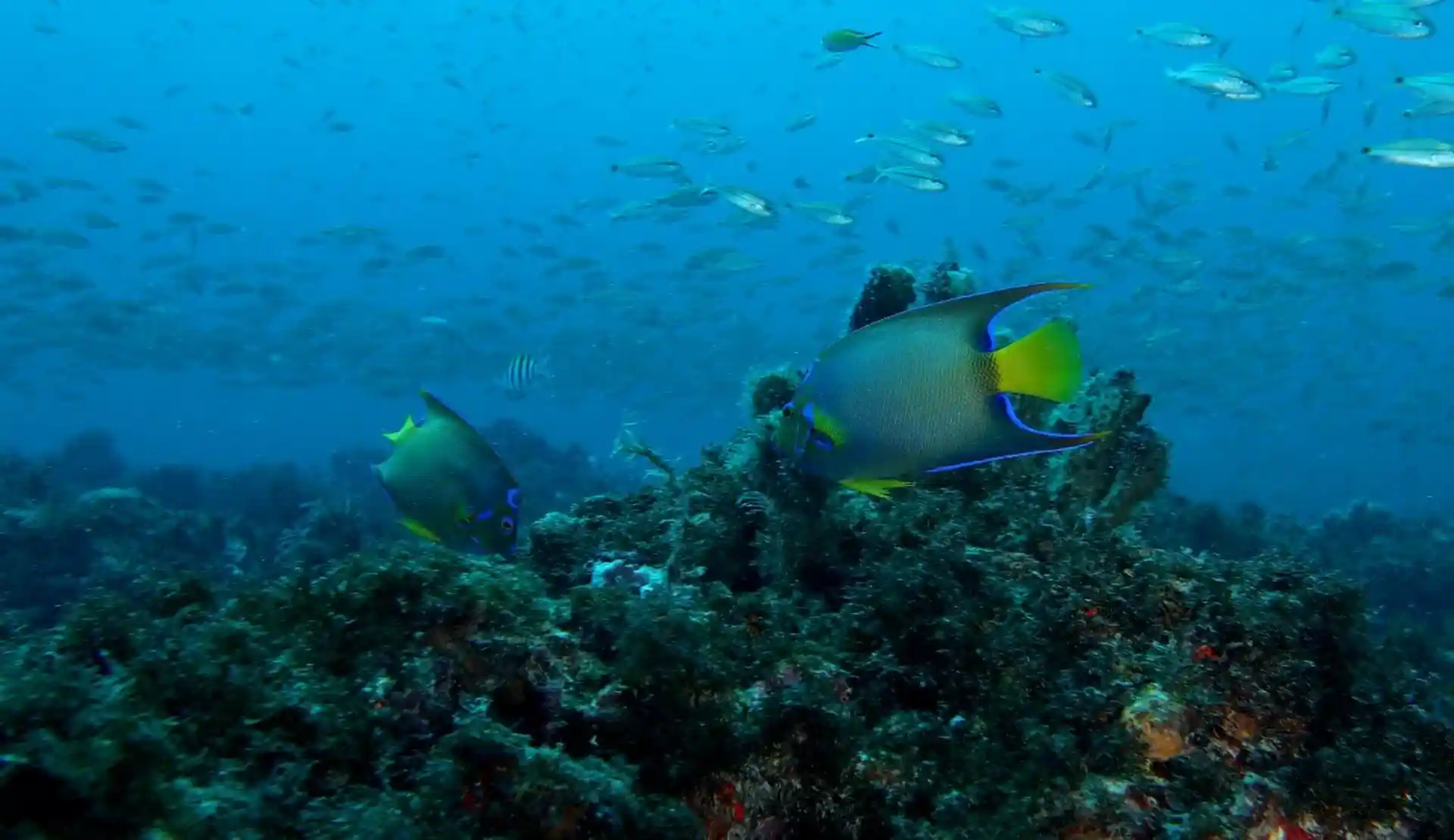 Dive site photo