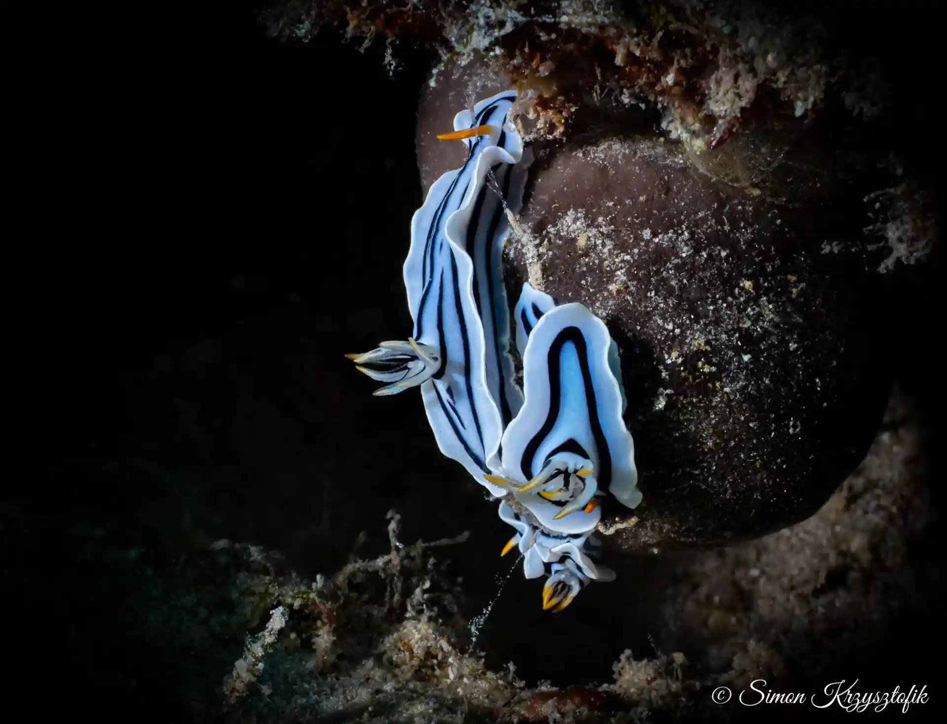 Dive site photo