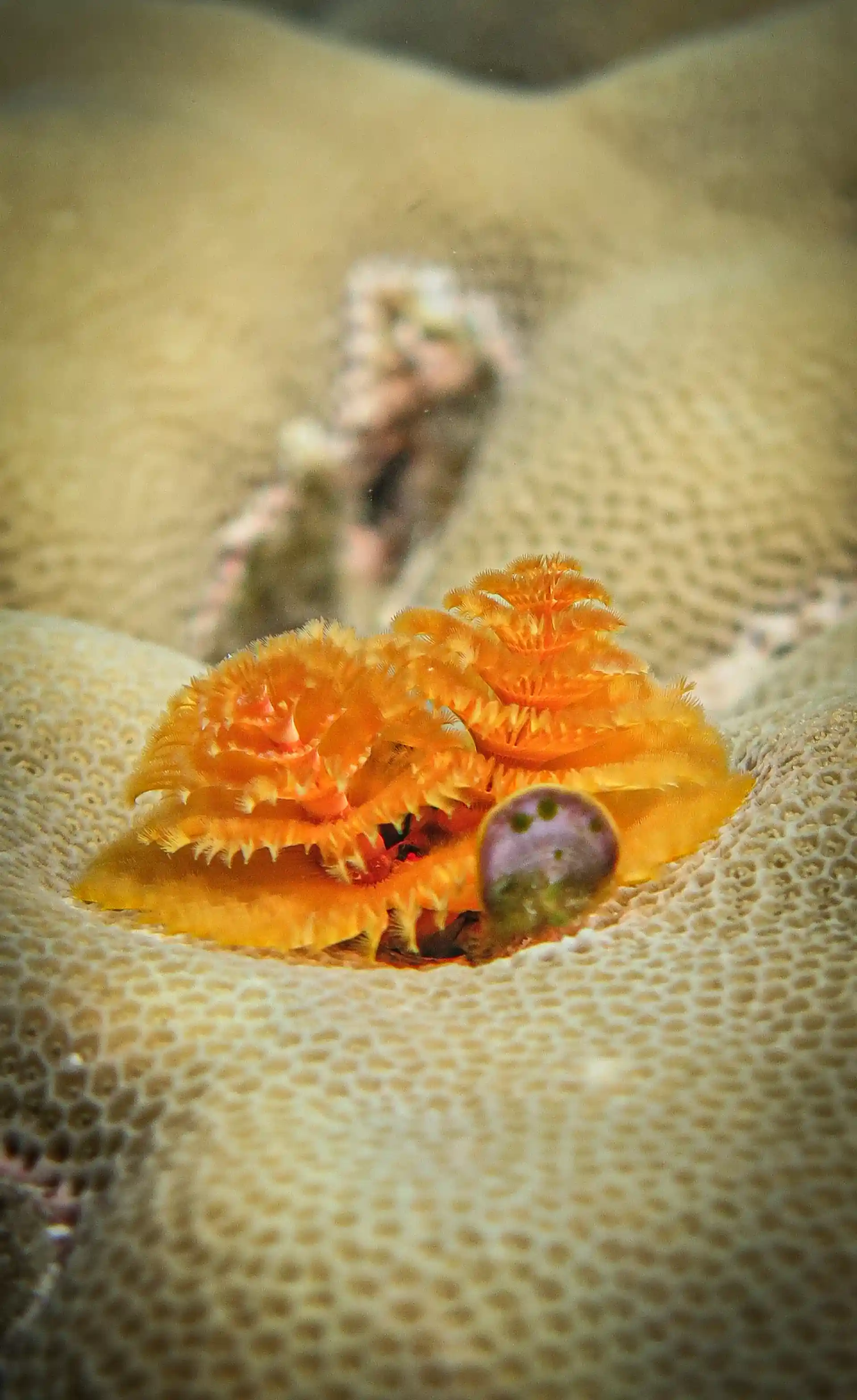 Dive shop photo