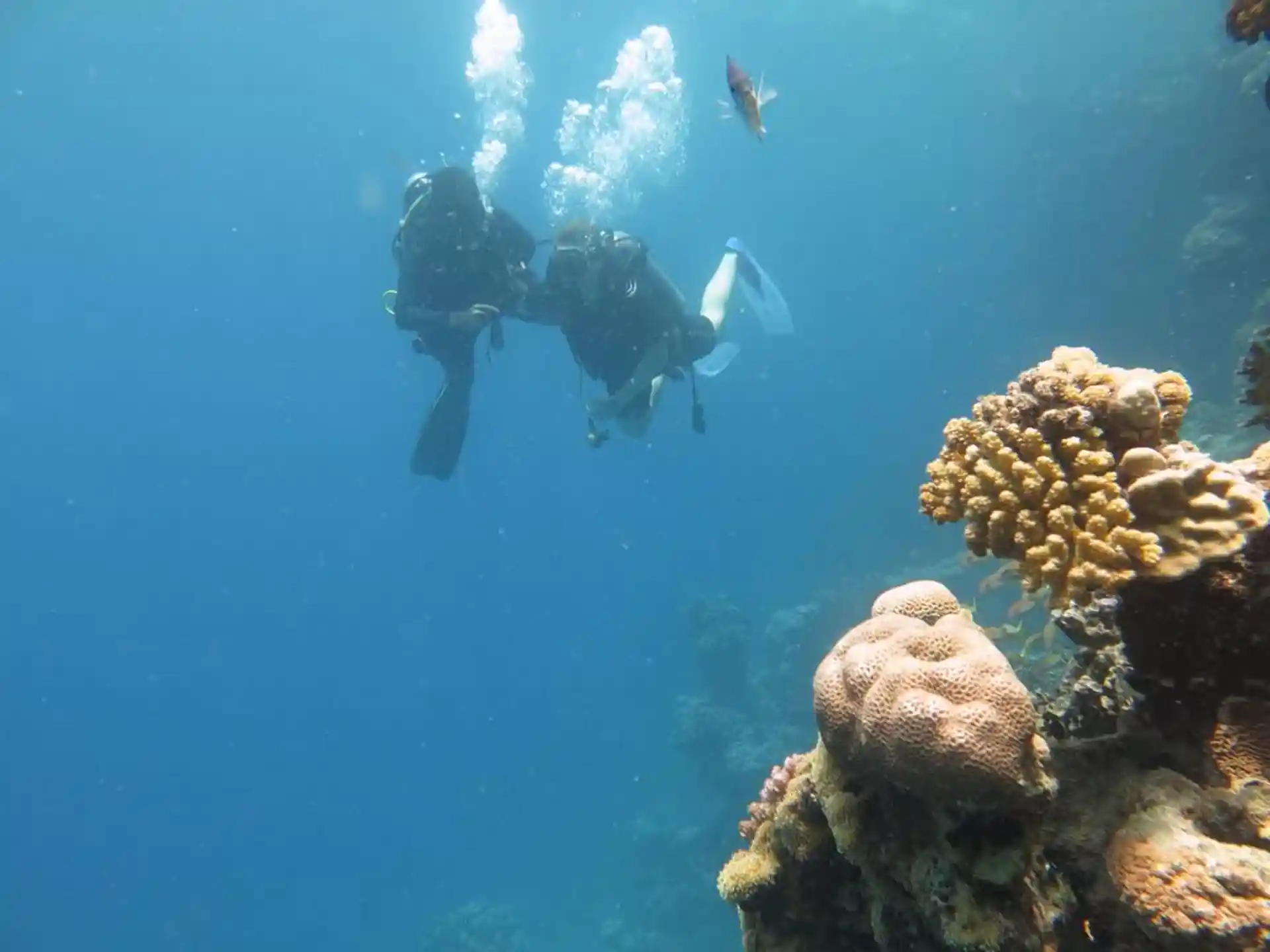 Dive site photo