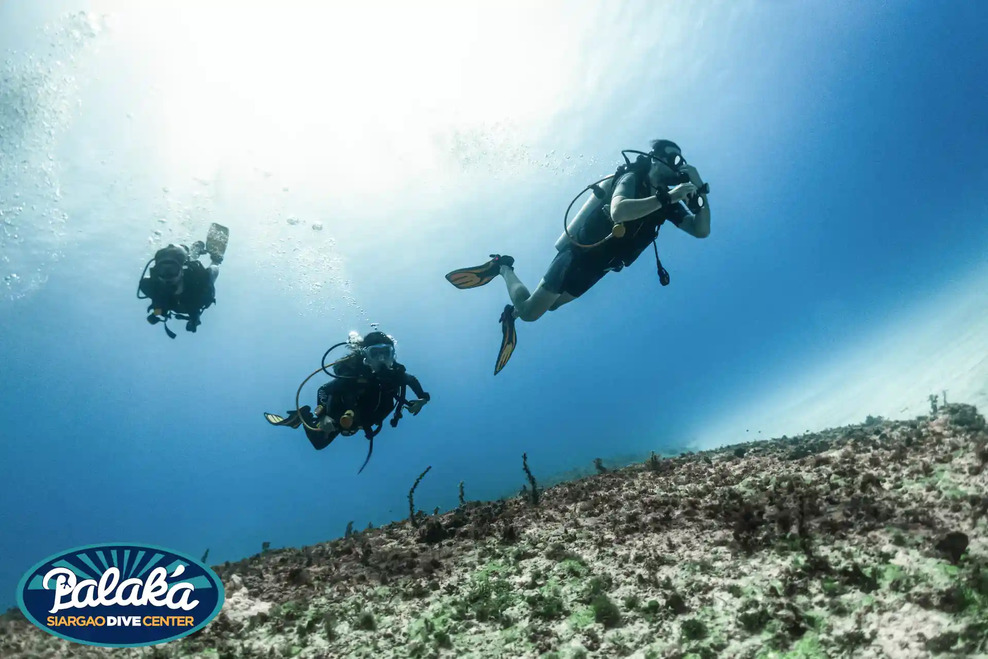 The PADI Open Water Certification is our most popular scuba diving certifiaction for beginners. 
With this course, you will learn everything you need to know to dive safely and have an unlimited amount of fun underwater!