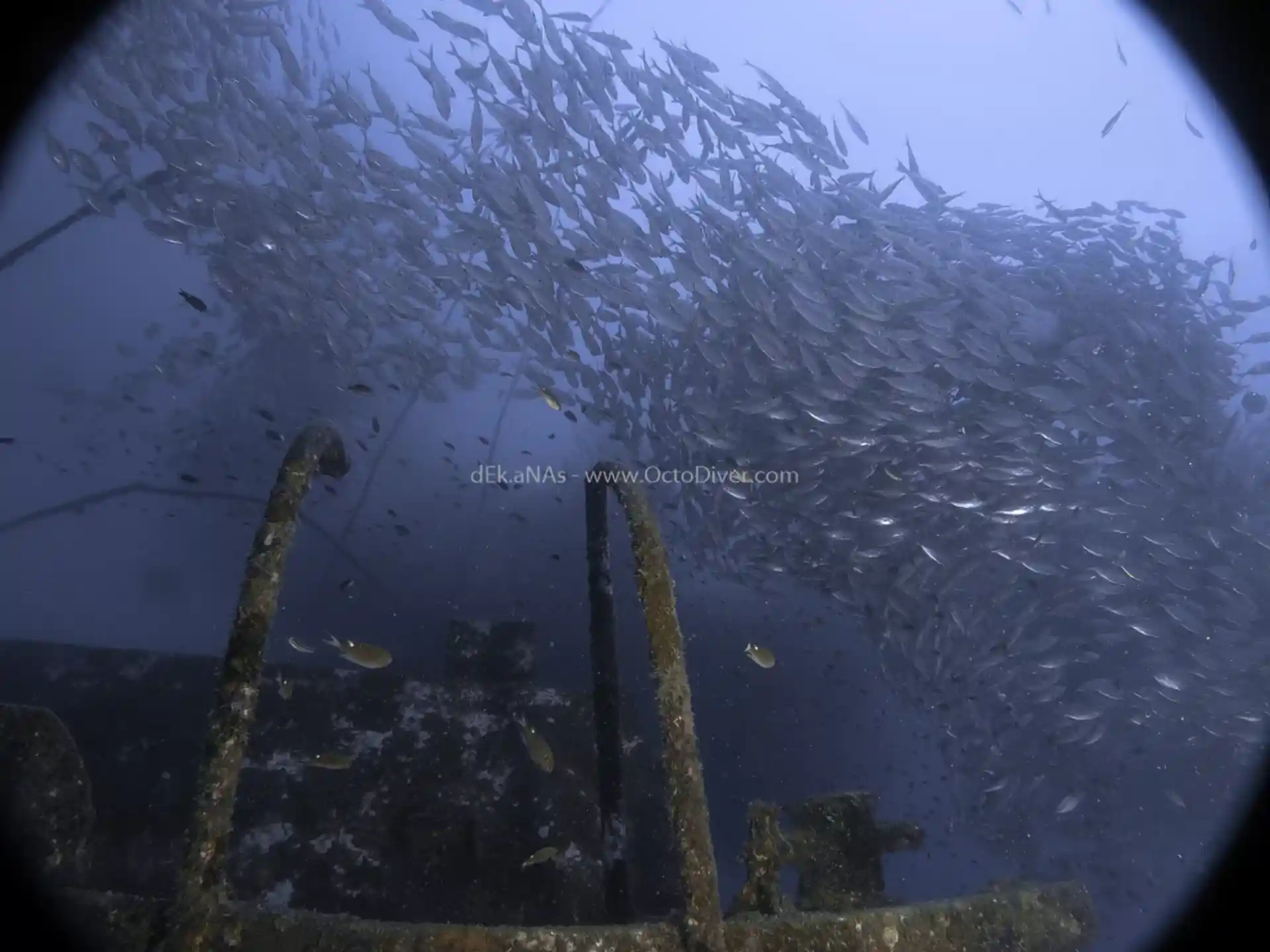 Dive site photo