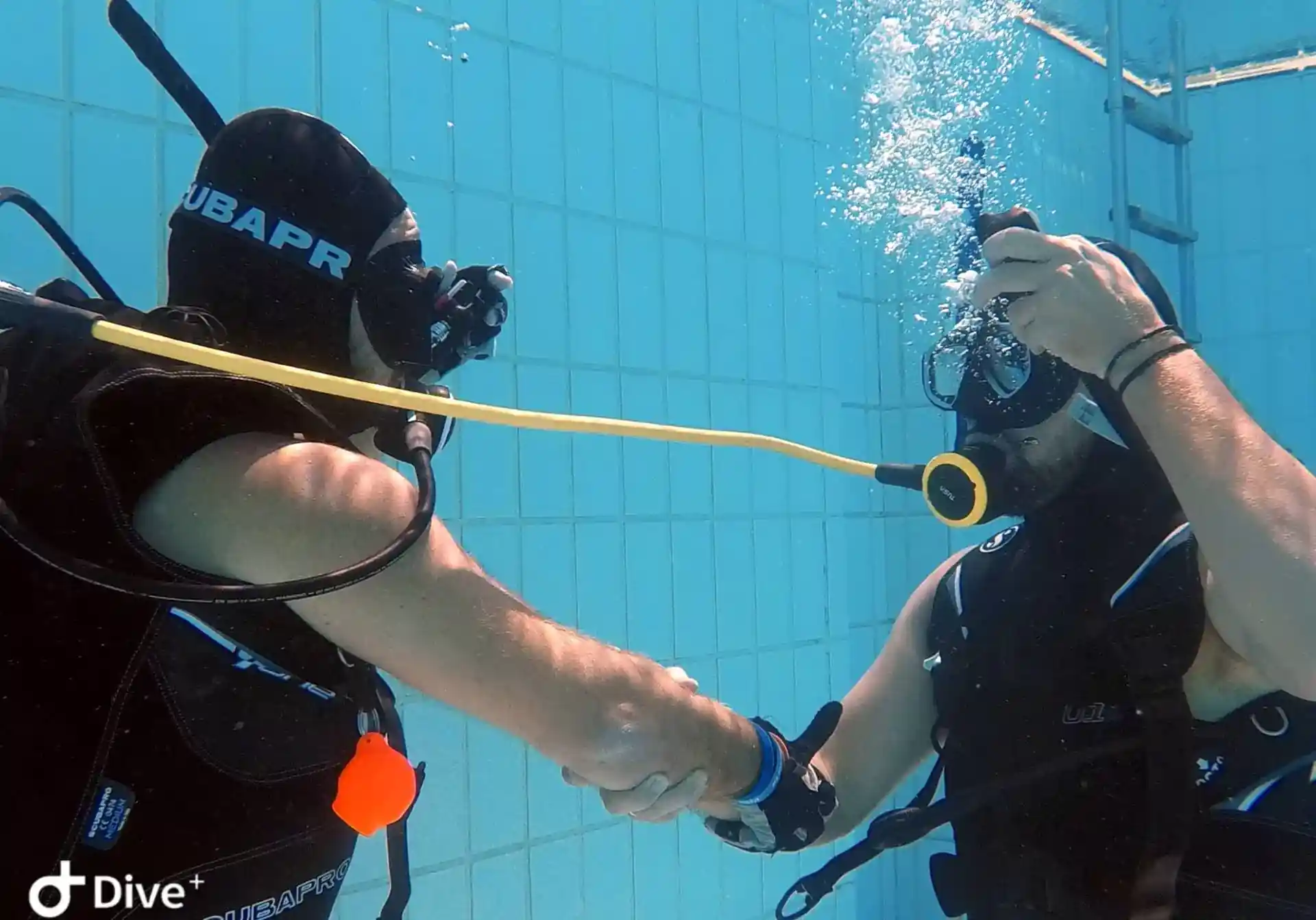 Fähigkeiten im Pool