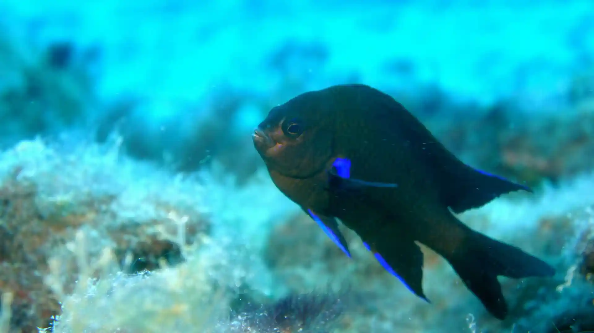 Foto des Tauchplatzes