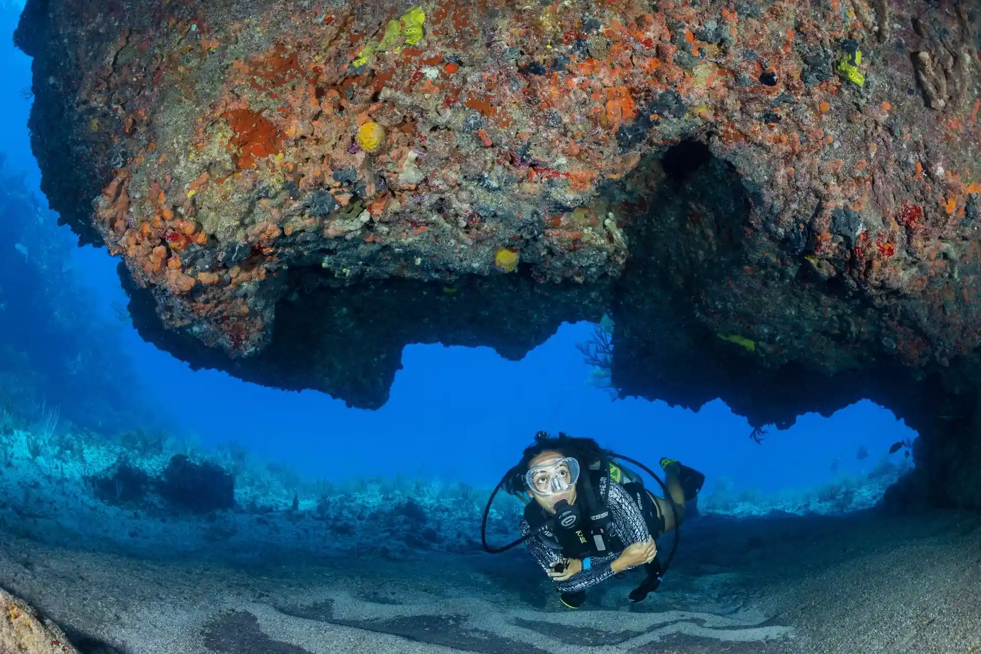 Photo du site de plongée