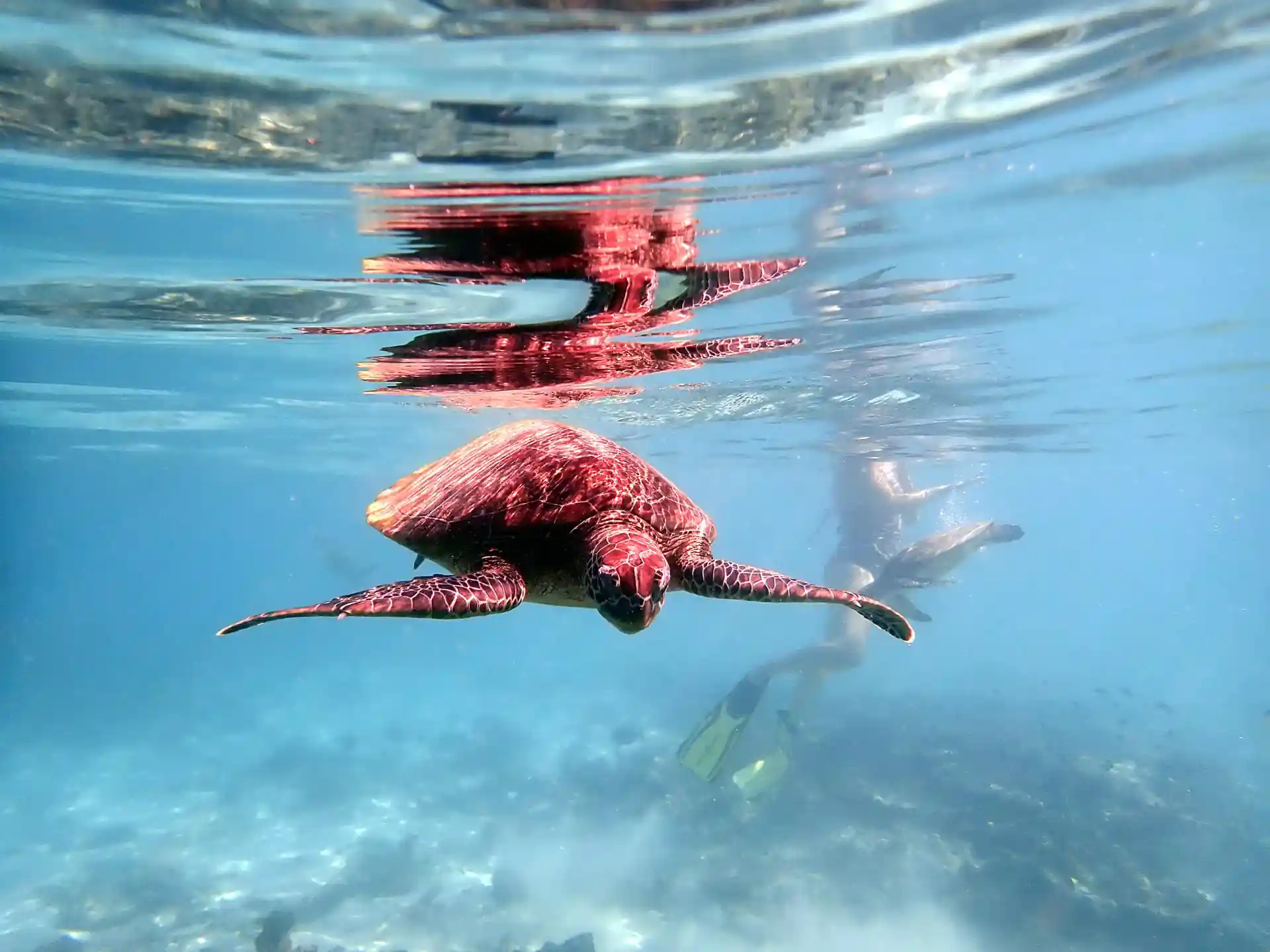 다이빙 포인트 사진