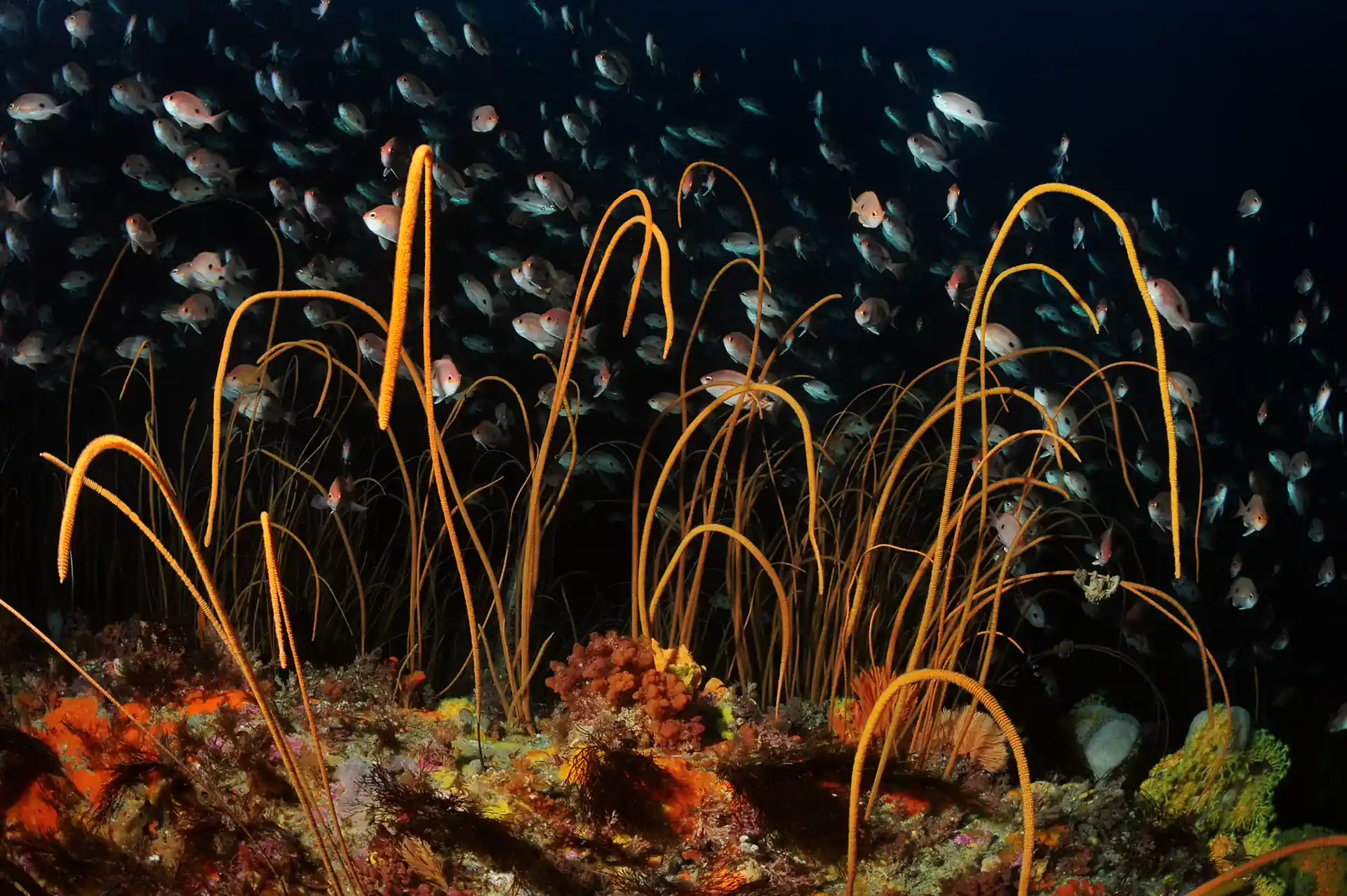 Dive shop photo