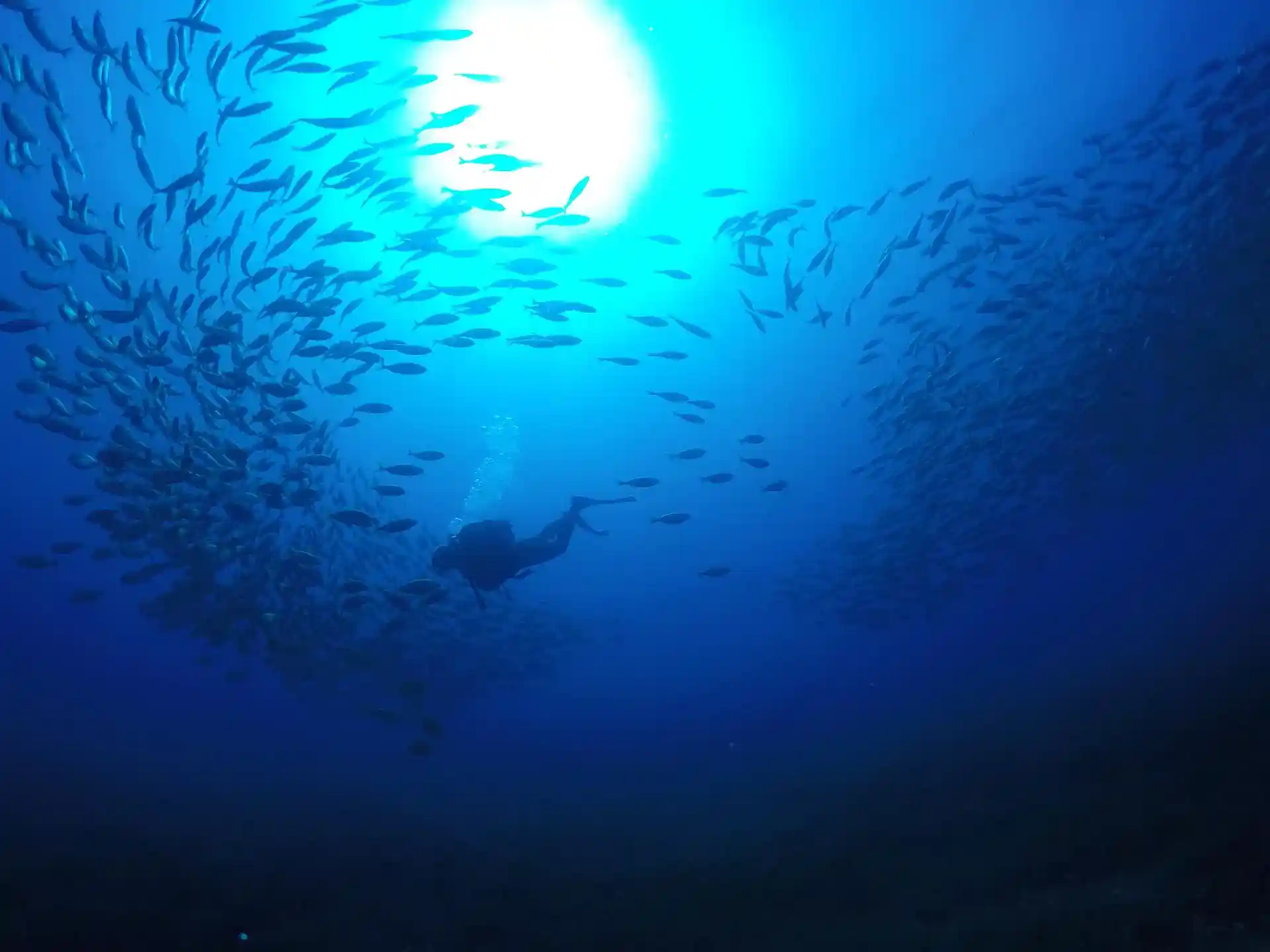 Dive site photo